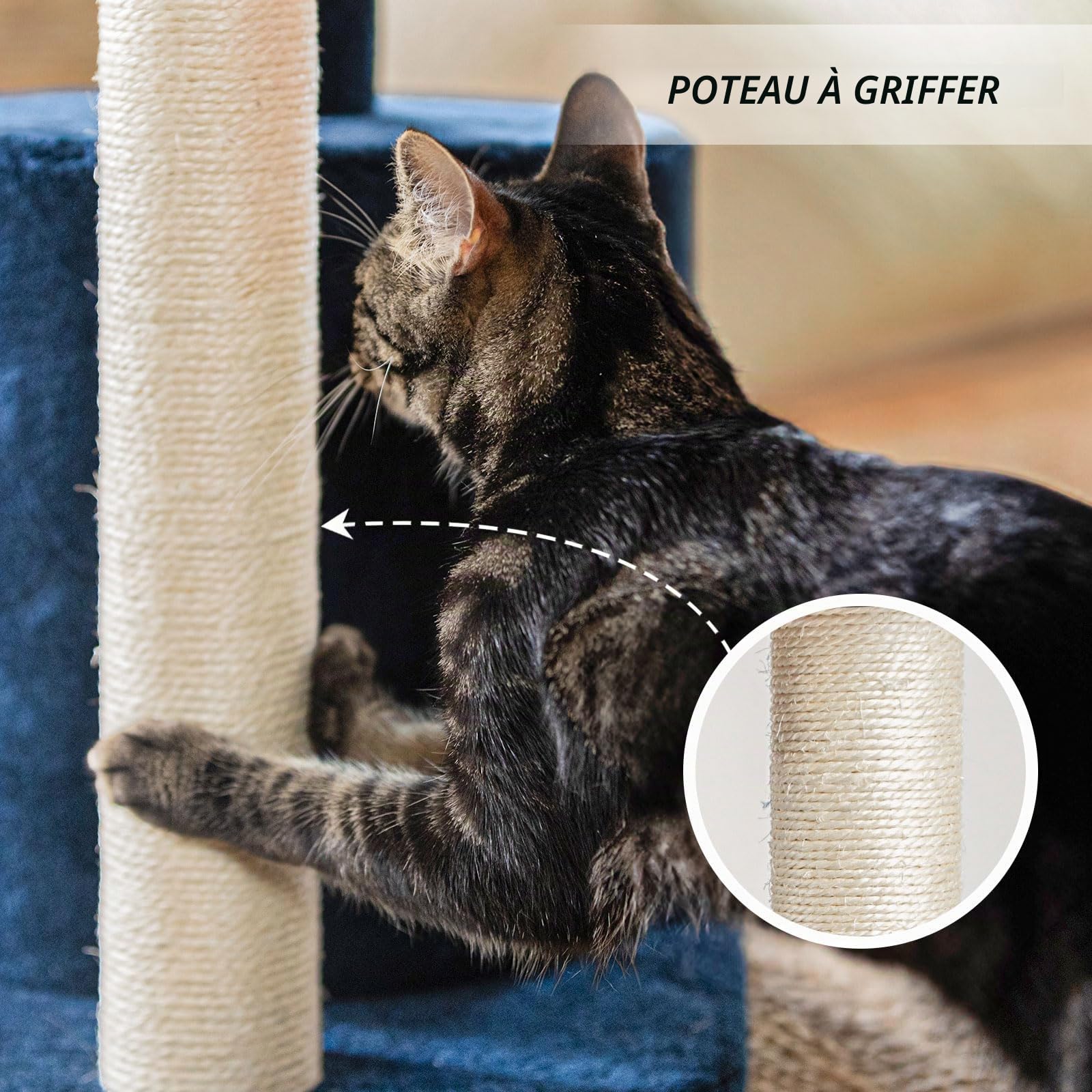 ClevaHome Arbre à Chat Bleu Denim pour Petits Chats – Arbre à Griffer Multi-Niveaux 85 cm avec Perchoirs Douillets, Jouet Pompon et Poteaux Sisal pour Chatons d’Intérieur