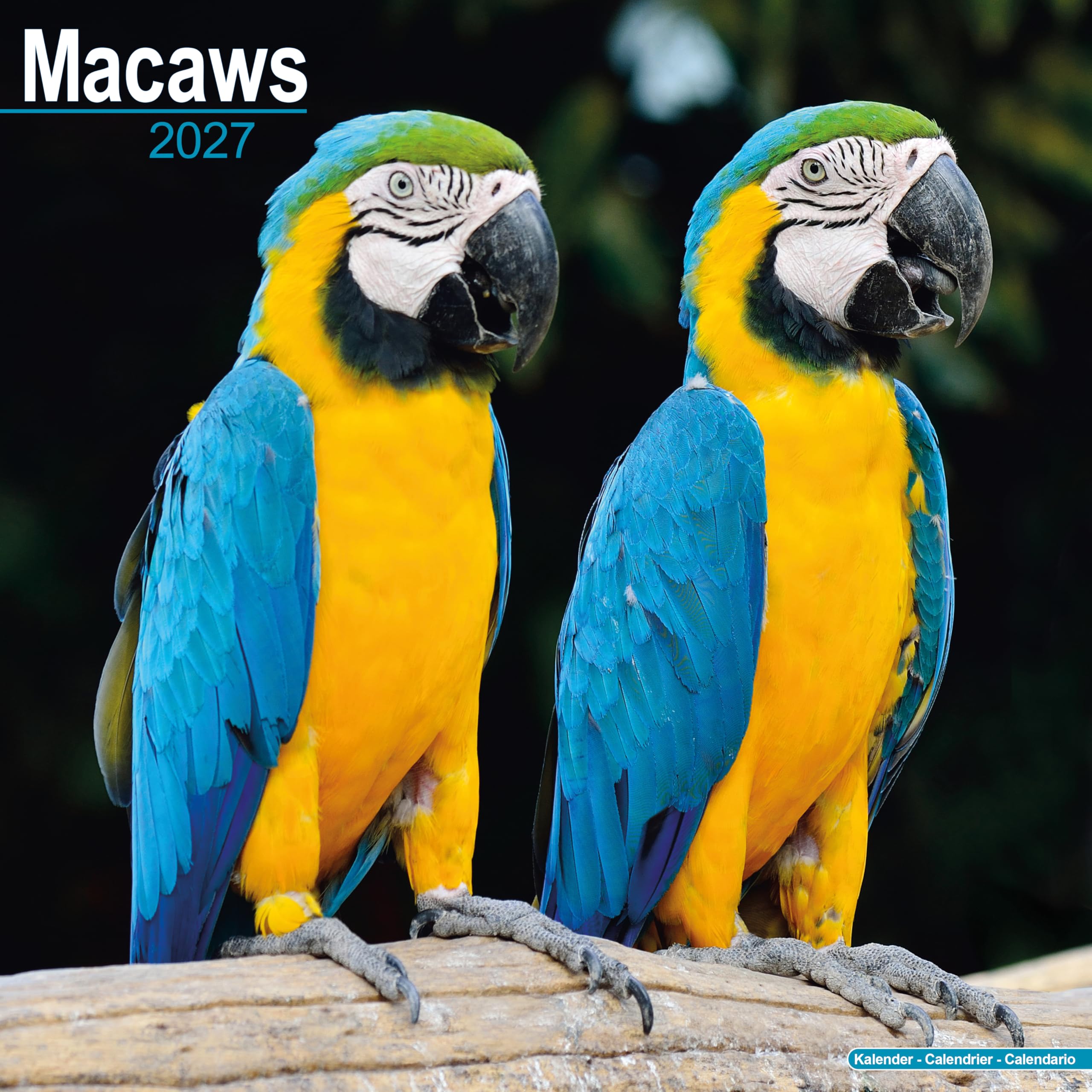 Macaws Calendar 2027, Wall Calendars, Month To View, Animals, Gift