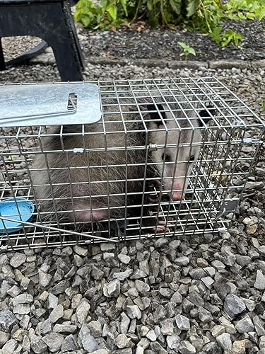 Works well, but bunnies are afraid to go in
