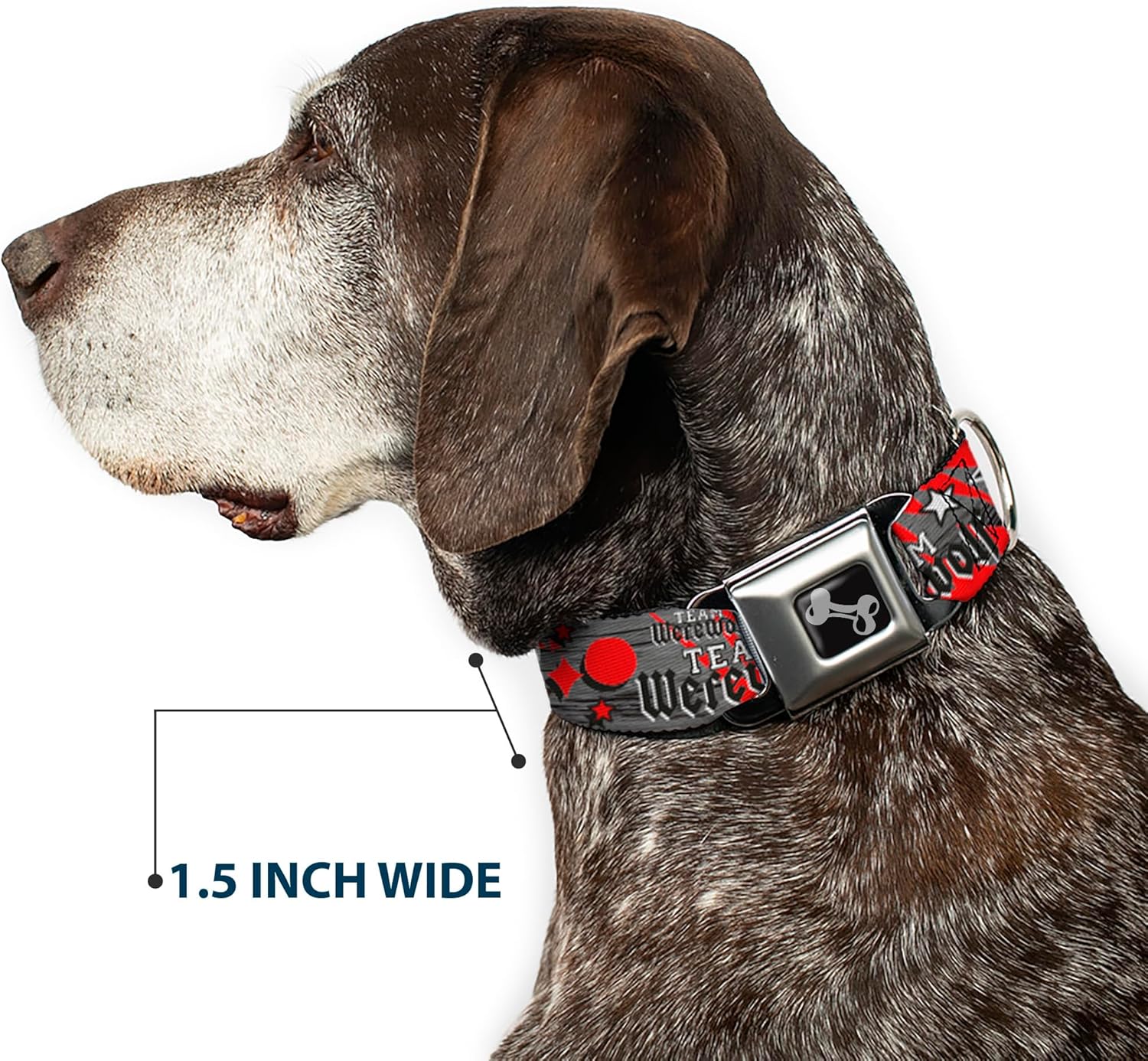 Dog Collar Seatbelt Buckle Team Werewolf 15 to 26 Inches 1.0 Inch Wide