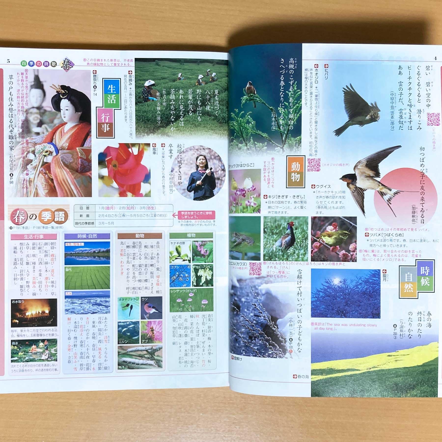 カラー版 新国語便覧13冊 カラー版 新国語便覧 第一学習社 - メルカリ