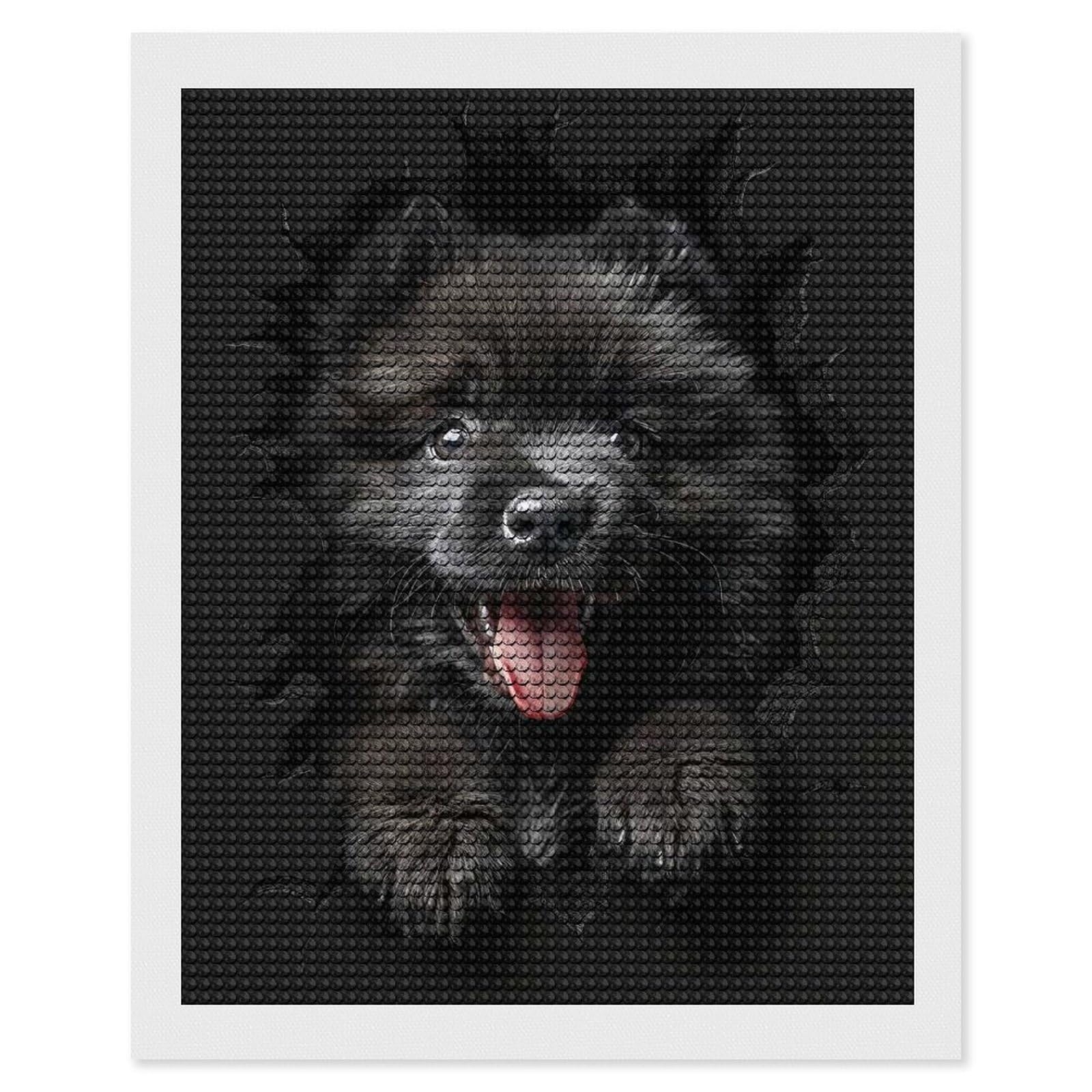 Junmoney Keeshond Diamond Art Kit 16"x20", for Beginners, Vintage Style Decor, Good for Quiet Evenings, Festive Craft Gift