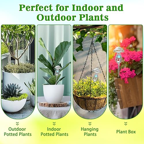 Miniatura 7 de Globos de riego de plantas, 4 piezas iridiscentes arco iris degradado de color transparente de hongos de vidrio transparente con picos de riego