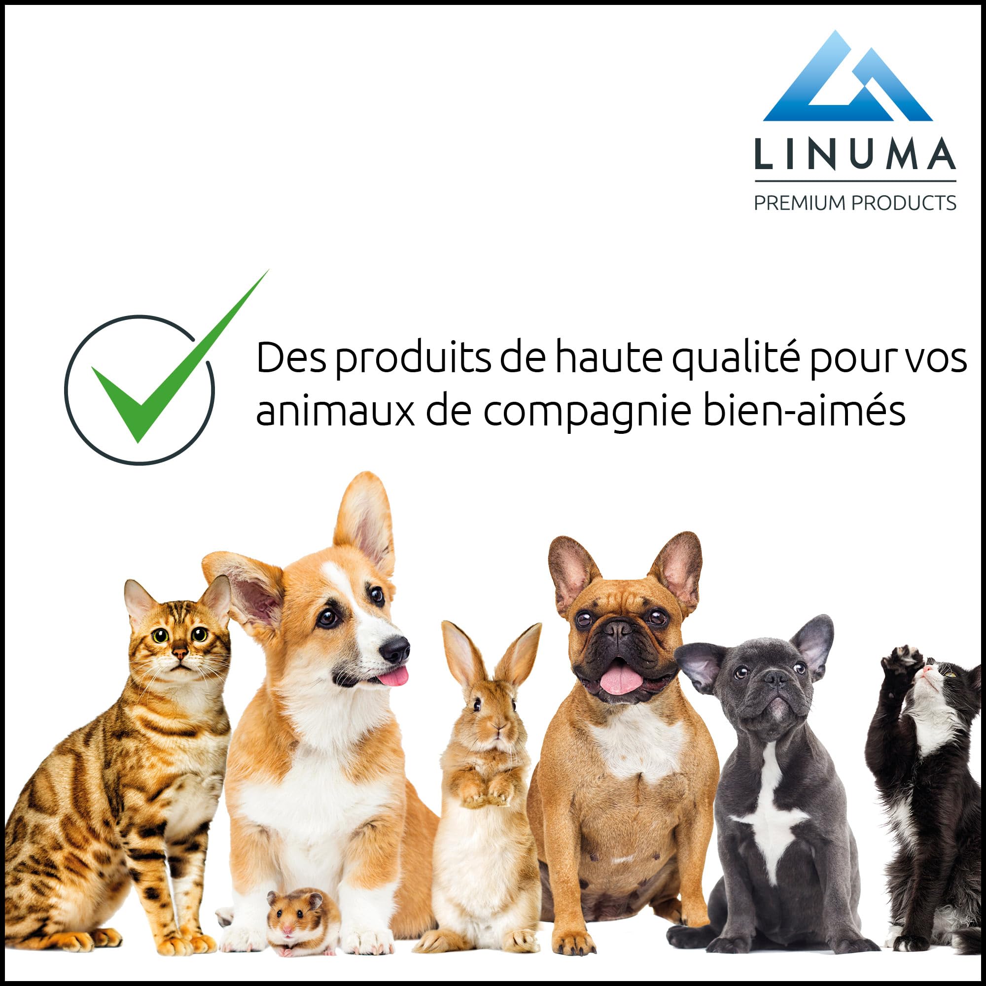 Bac à litière Gris avec Couvercle – avec Tapis & Pelle – Toilette hygiénique fermée pour Chat – Anti-Odeur & Facile à Nettoyer