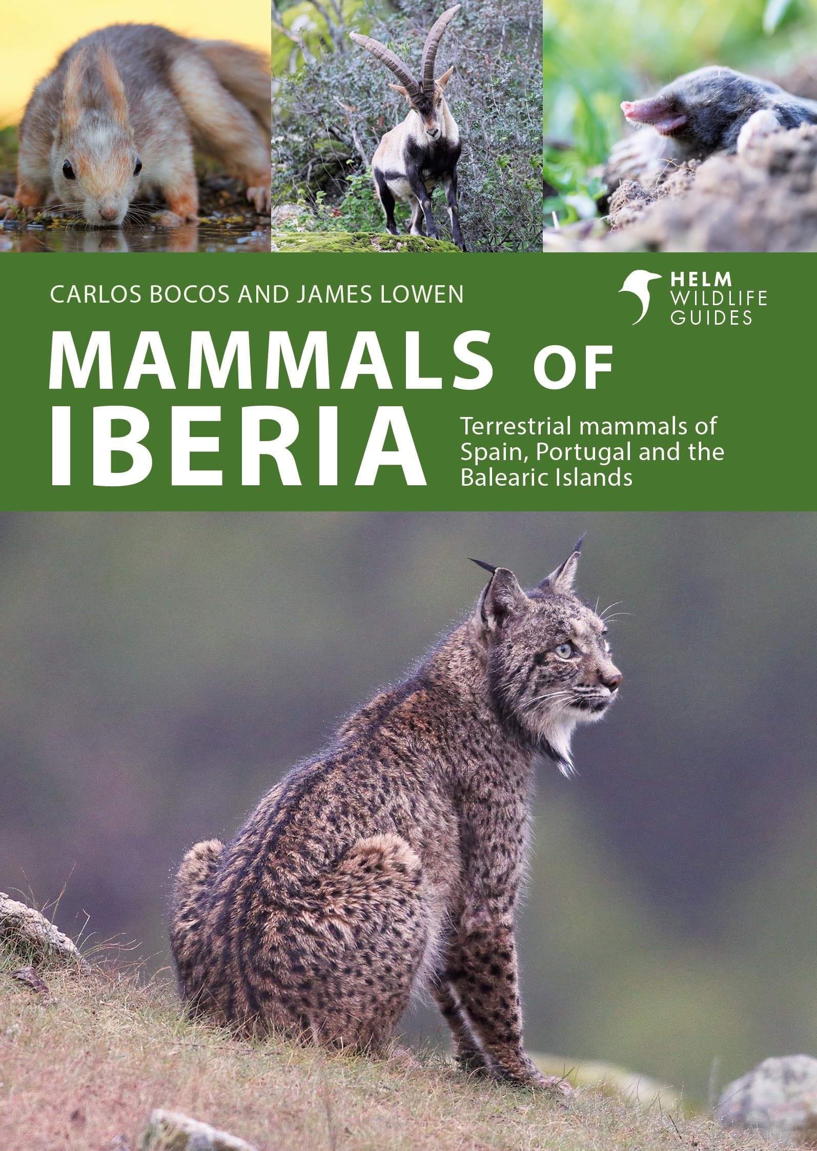 Mammals of Iberia: Terrestrial mammals of Spain, Portugal and the Balearic Islands (Helm Wildlife Guides)