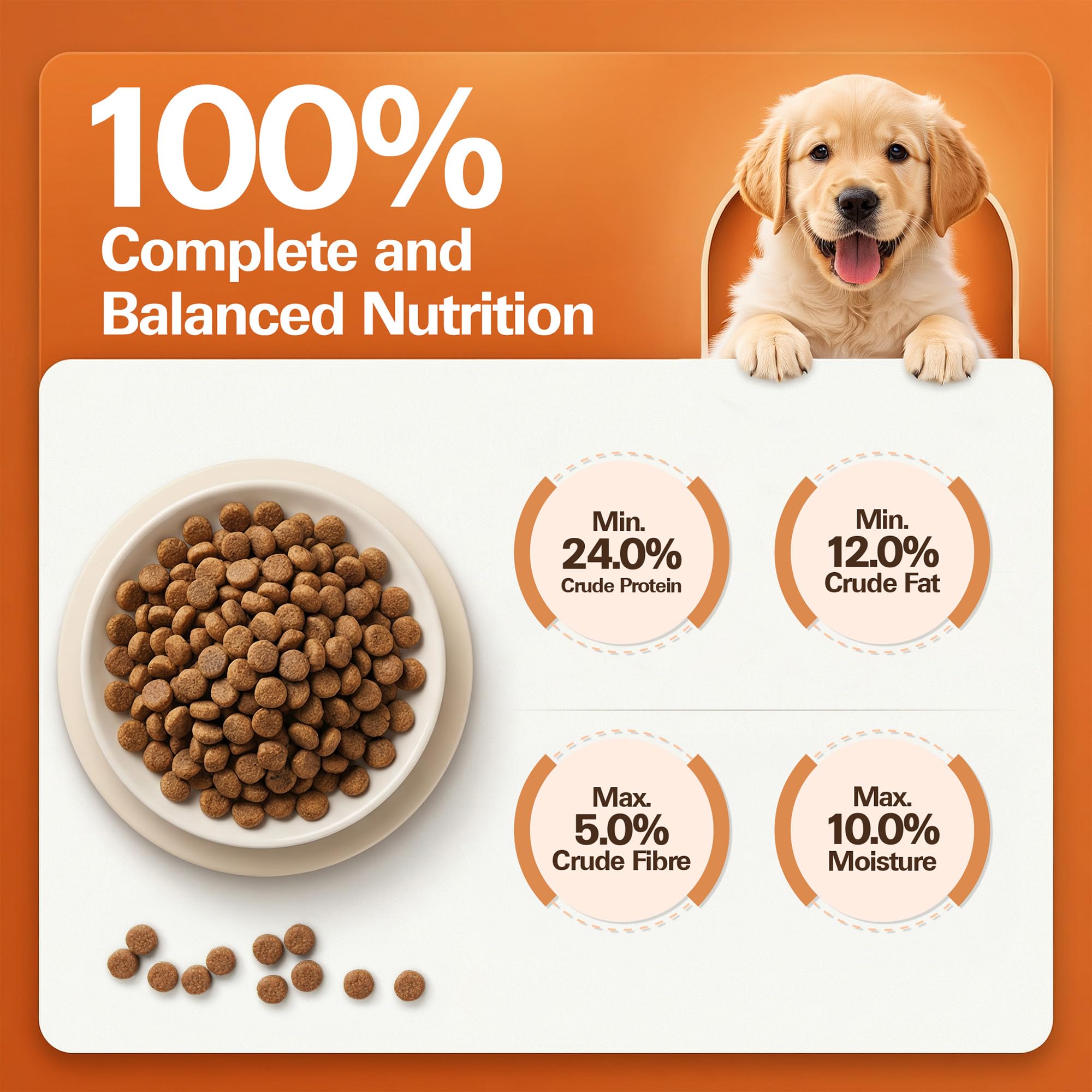 Avant Furst Puppy Dry Dog Food Chicken & Vegetable, Dog Food Puppy with Real Chicken Protein & DHA, Dry Food for Growing Puppies, No Artificial Additives, 2.8kg 4