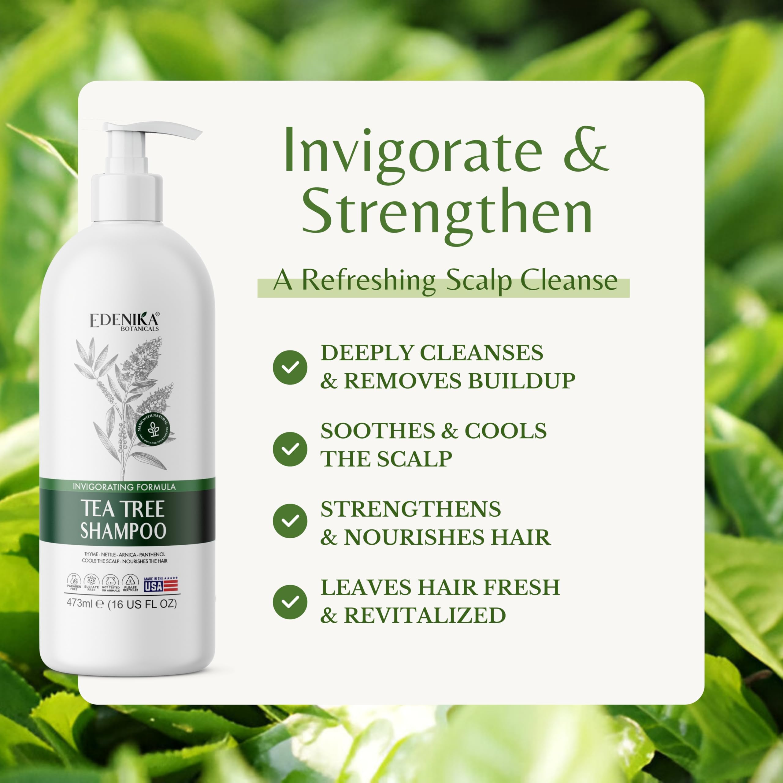 EDENIKA BOTANICALS Tea Tree Oil Shampoo, Soothes Itchy & Dry Scalp, Deep Cleansing for Dandruff & Buildup, Hydrates & Refreshes, Sulfate Free, Natural Shampoo for Women & Men – 16 fl oz