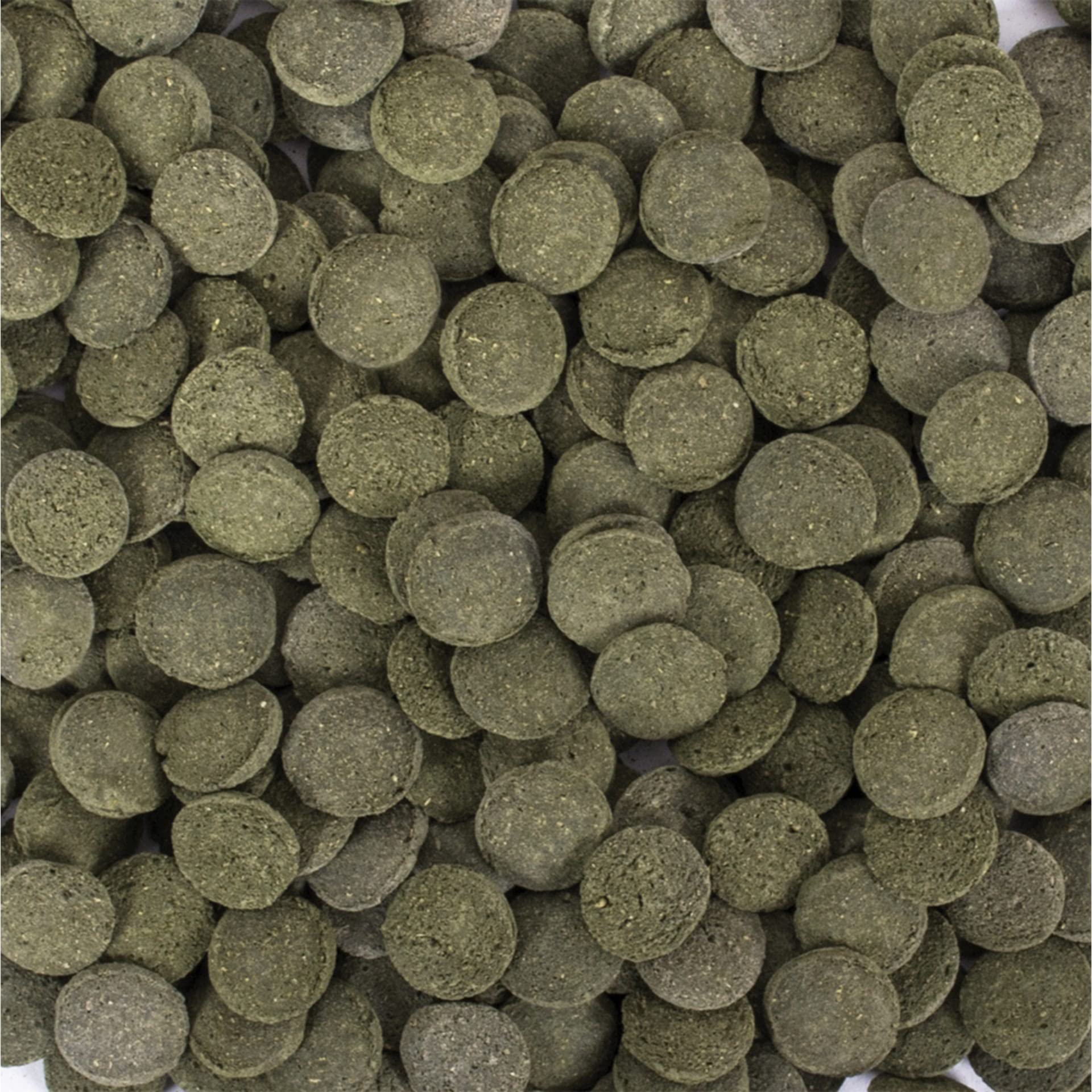 HI-Algae Discs 3L / 1,5kg - Alimento con Algas para loricáridos y camarones