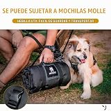 Ver la foto 7