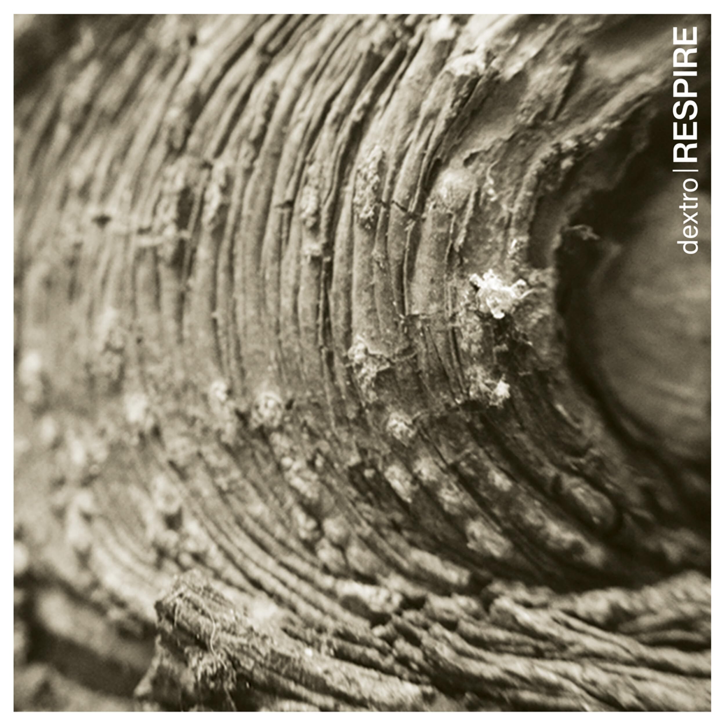 RESPIRE [VINYL]
