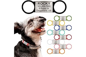 Slide On Pet Tag ID: Personalized Silent Dog Tags for Cats and Dogs