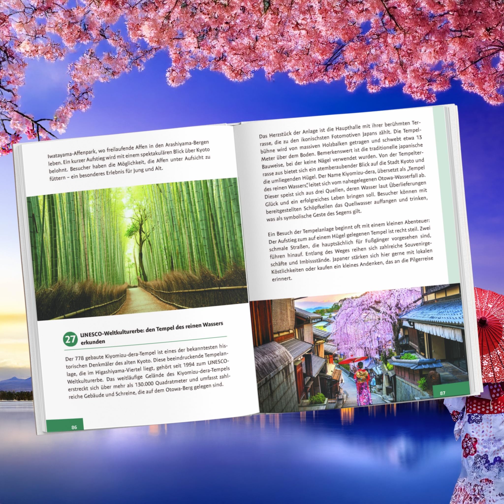 Japan für Anfänger – Von der Planung bis zur Heimkehr: Dein Guide zu unvergesslichen Erlebnissen im echten Japan mit Insider-Tipps direkt von einem Einheimischen inkl. cleverer Spartipps