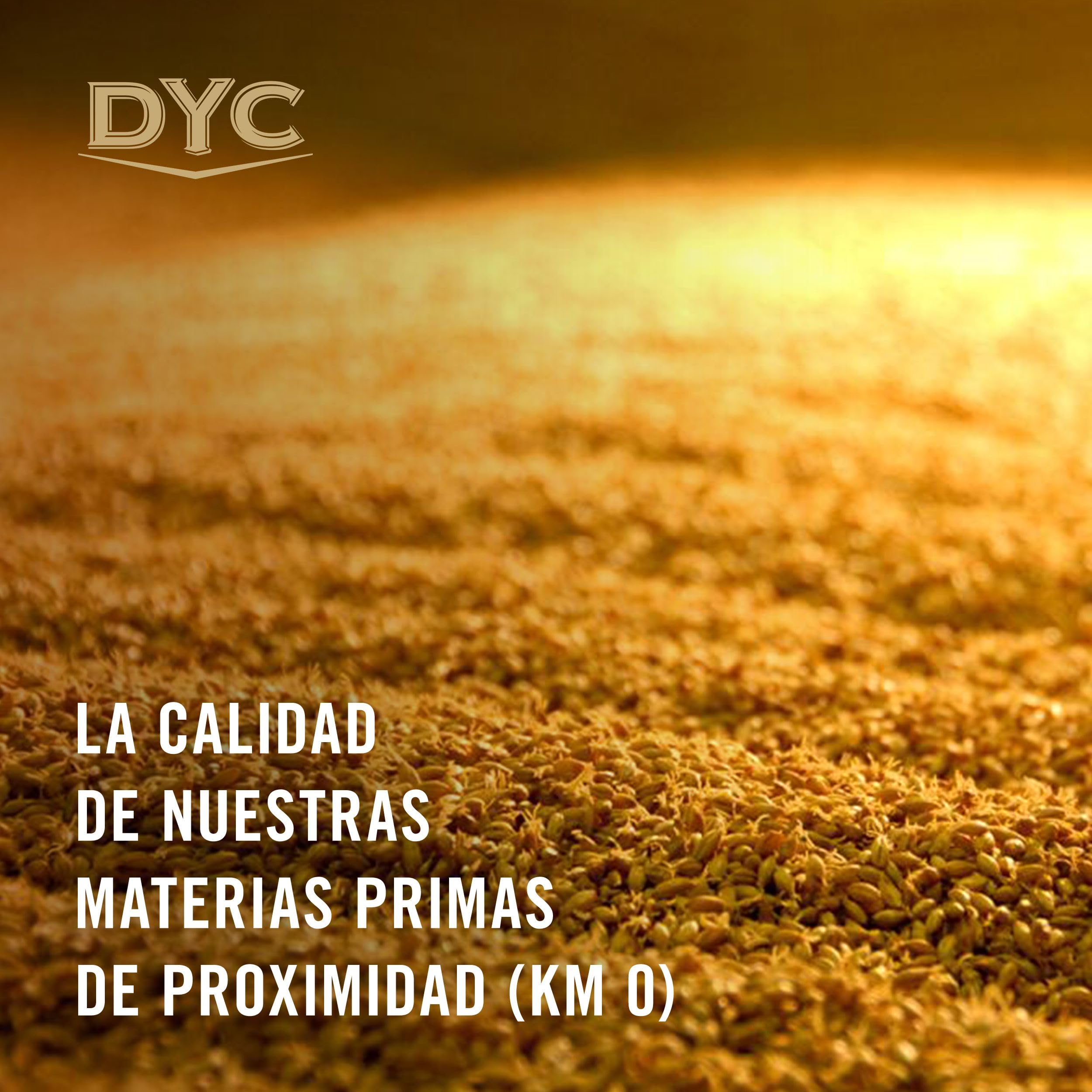 DYC Doble Destilación Whisky Blended Español 1L
