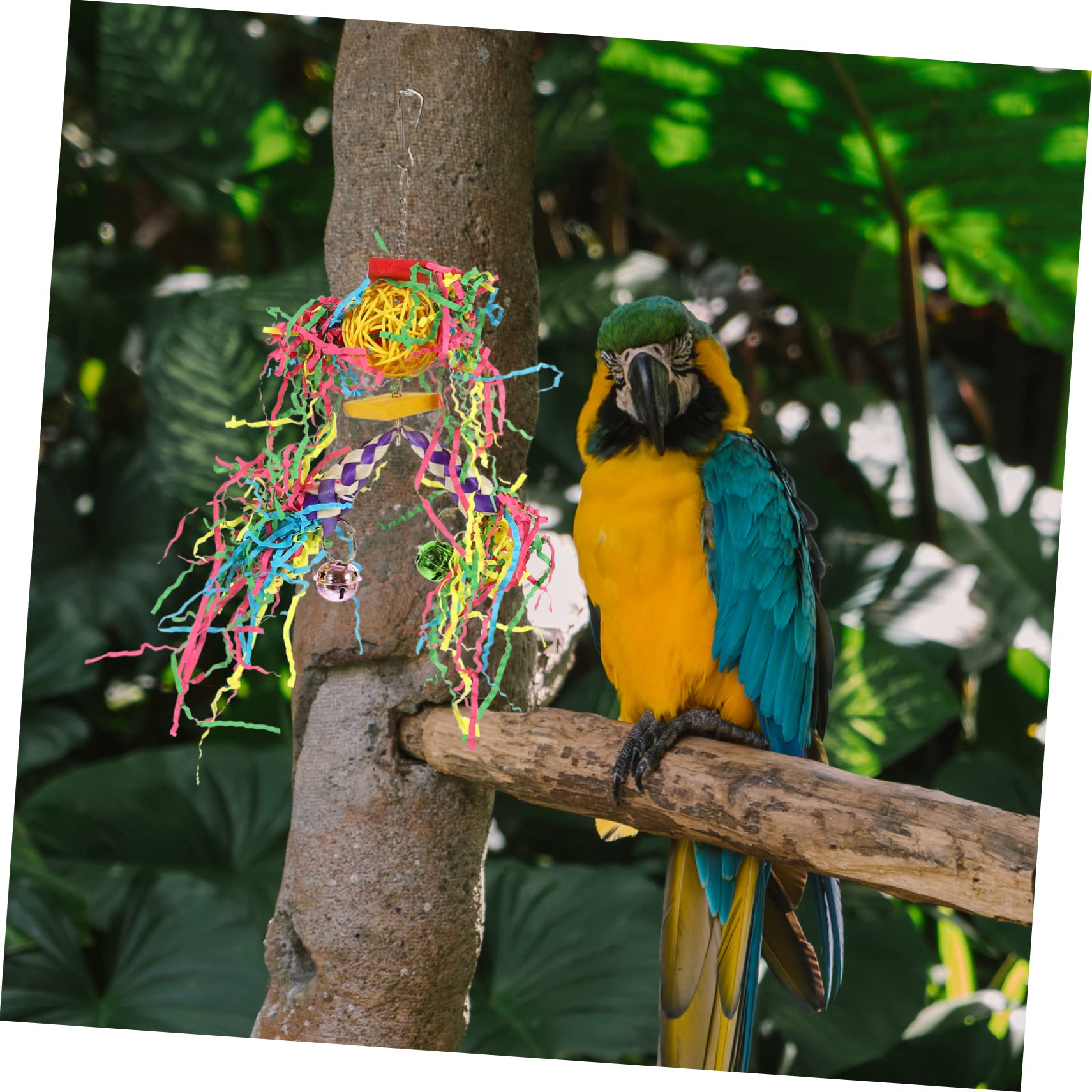 Beavorty 2ensembles Jouets Suspendus à Mastiquer pour Oiseaux Accessoires De Tube Tressé pour Perruches Et Perroquets pour Éviter Ennui Et Oiseaux