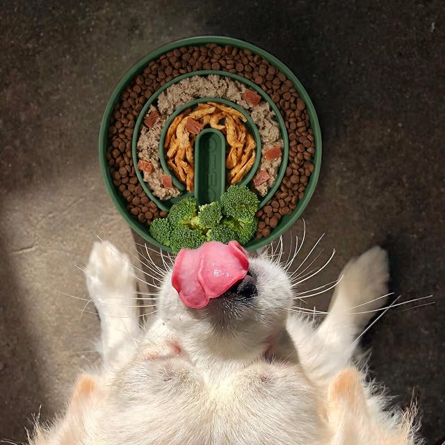 Foto 4 de 7 de OHMO Cuenco de alimentación lenta para perros y gatos, antideslizante con ventosa