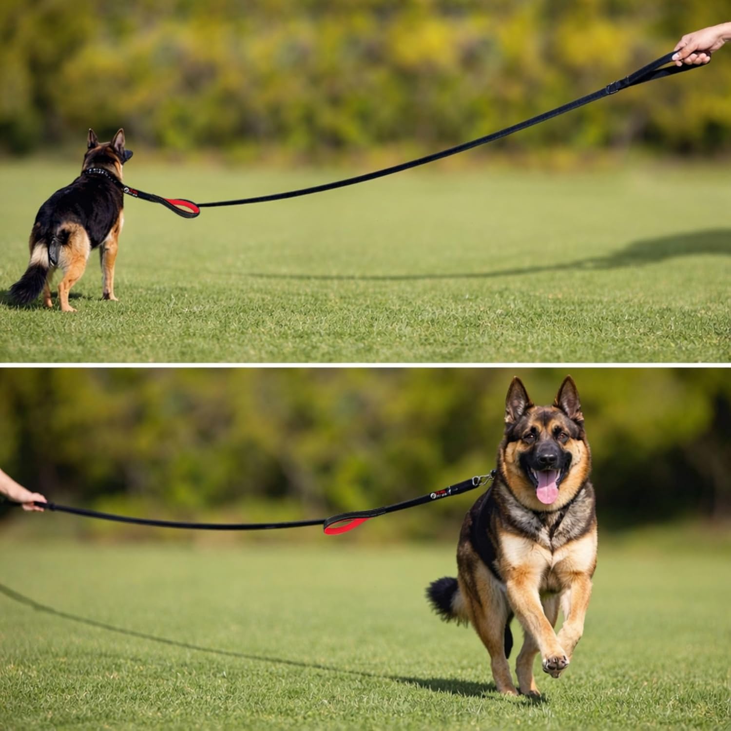 Primal Pet Gear Dog Leash 6ft Long,Traffic Padded Two Handle,Heavy Duty,Reflective Double Handles Lead for Control Safety Training,Leashes for Large Dogs or Medium Dogs,Dual Handles Leads(Pink) - Image 3