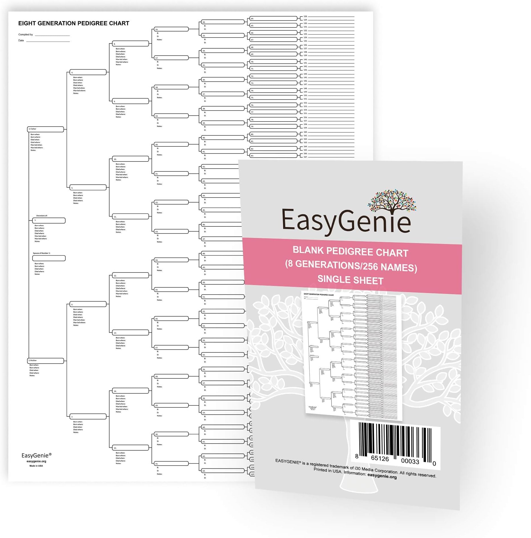 EASYGENIE Pedigree Chart (8 generations/256 names), single sheet