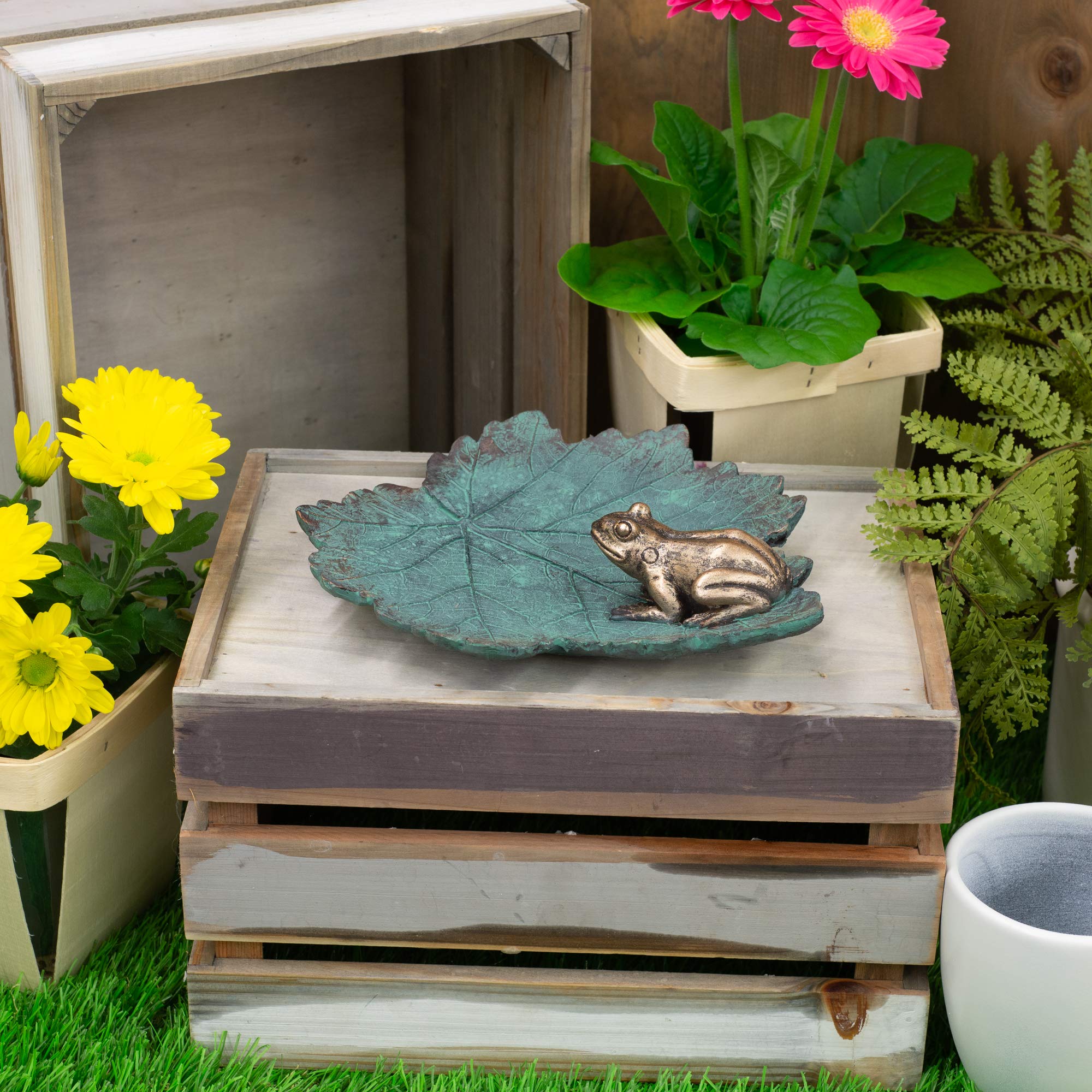 Roman 12187 - Baño para pájaros con hojas de rana (2,25 pulgadas) de altura