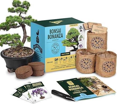Kit de árbol bonsái  Cultiva 3 mini árboles bonsái, kit de cultivo de plantas de interior  Kit de inicio de bonsái con semillas de bonsái, tierra,