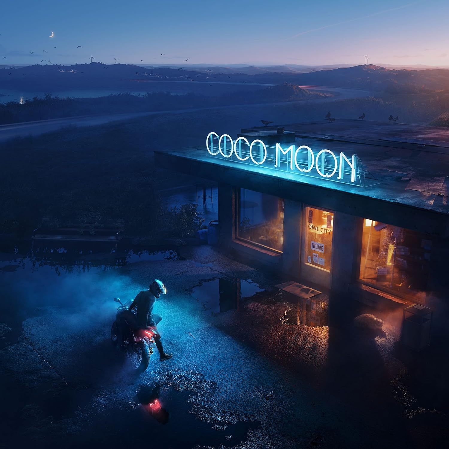 Coco Moon (Gatefold LP Jacket) por Artista não identificado — capa do álbum