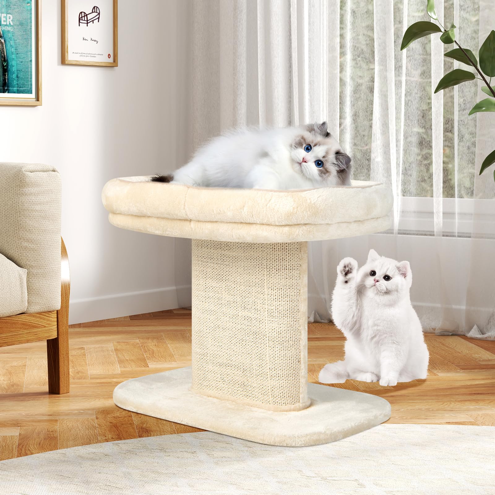 GYMAX Árbol Rascador de 50 cm de Alto para Gatos, Árbol de Escalada con Asiento de Felpa Suave, con Columna de Sisal y Pelota, Árbol de Actividad y Árbol de Juegos, para Pequeño Gato, Beige