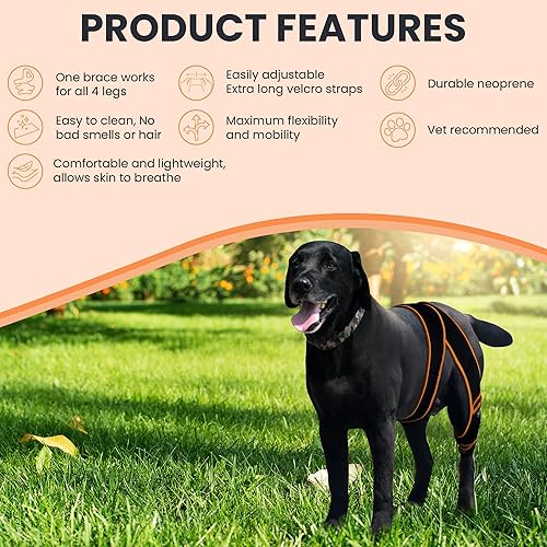 Miniatura 2 de Rodillera para perro para pierna trasera desgarrada del ACL  Arnés de neopreno premium para perros grandes  Soporte de pierna trasera lavable y