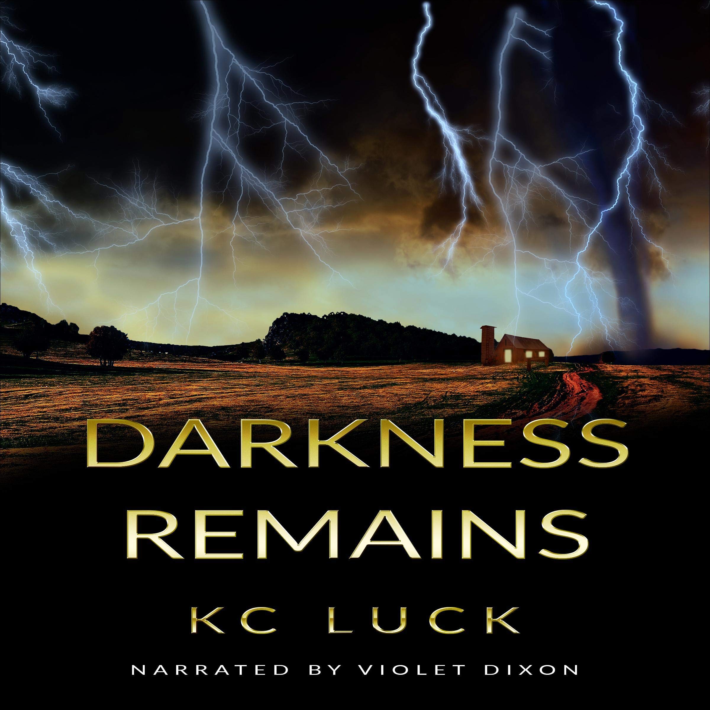 Darkness Remains: Sequel to Darkness Falls