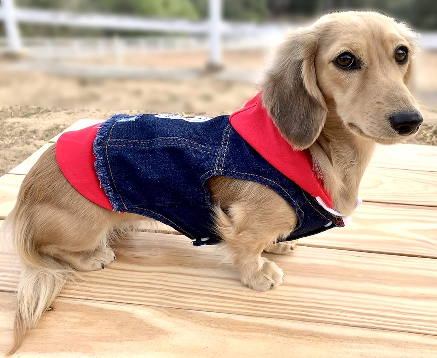Jean Hoodie for Dogs - Red - Fits Dachshunds! (Large 15" Long x 21" Chest)