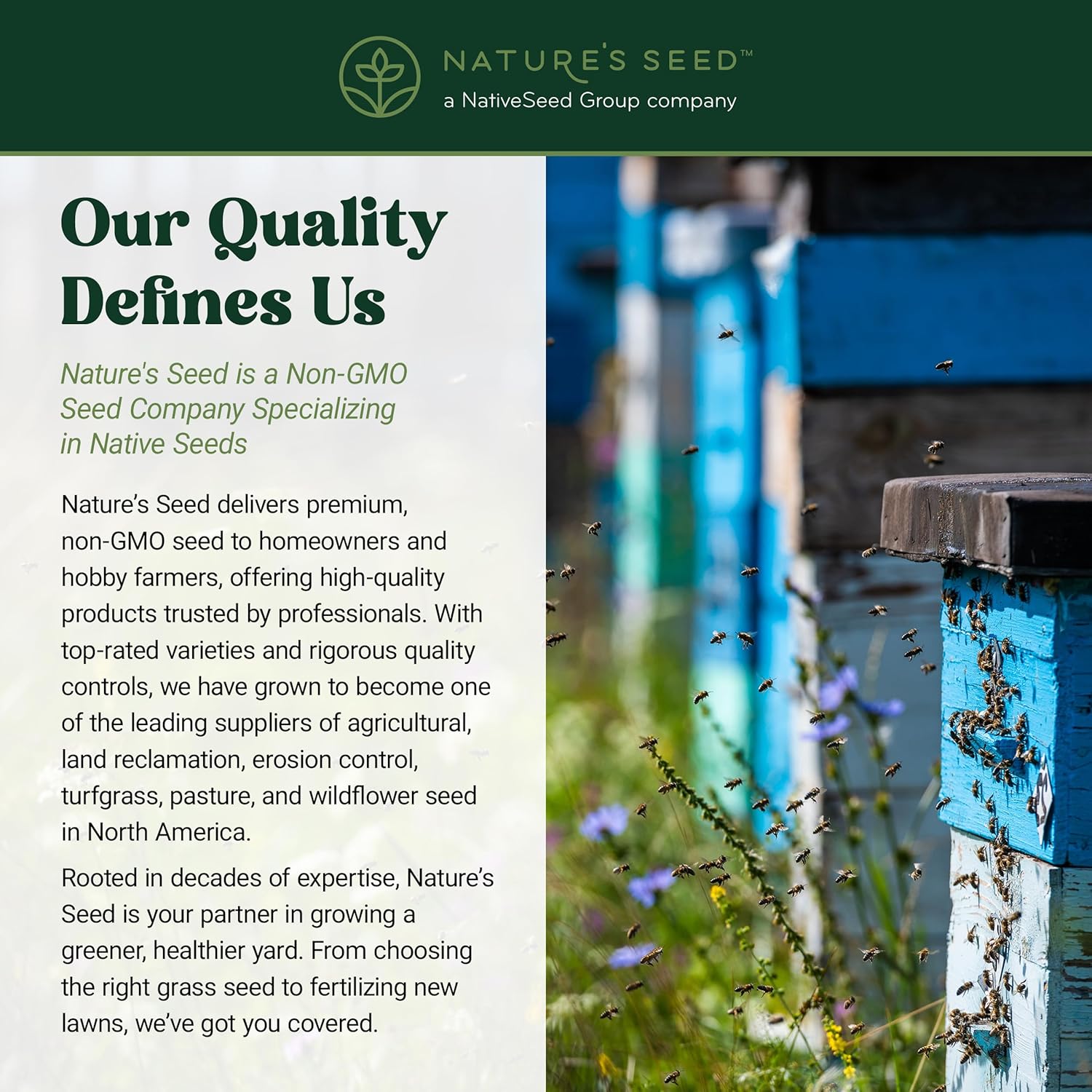 Nature's Seed Honey Bee Pasture Seed Mix, Multi-Season Bloom, Legume and Wildflower Pollinator Attracting Flowering Garden Blend, 5 Lbs