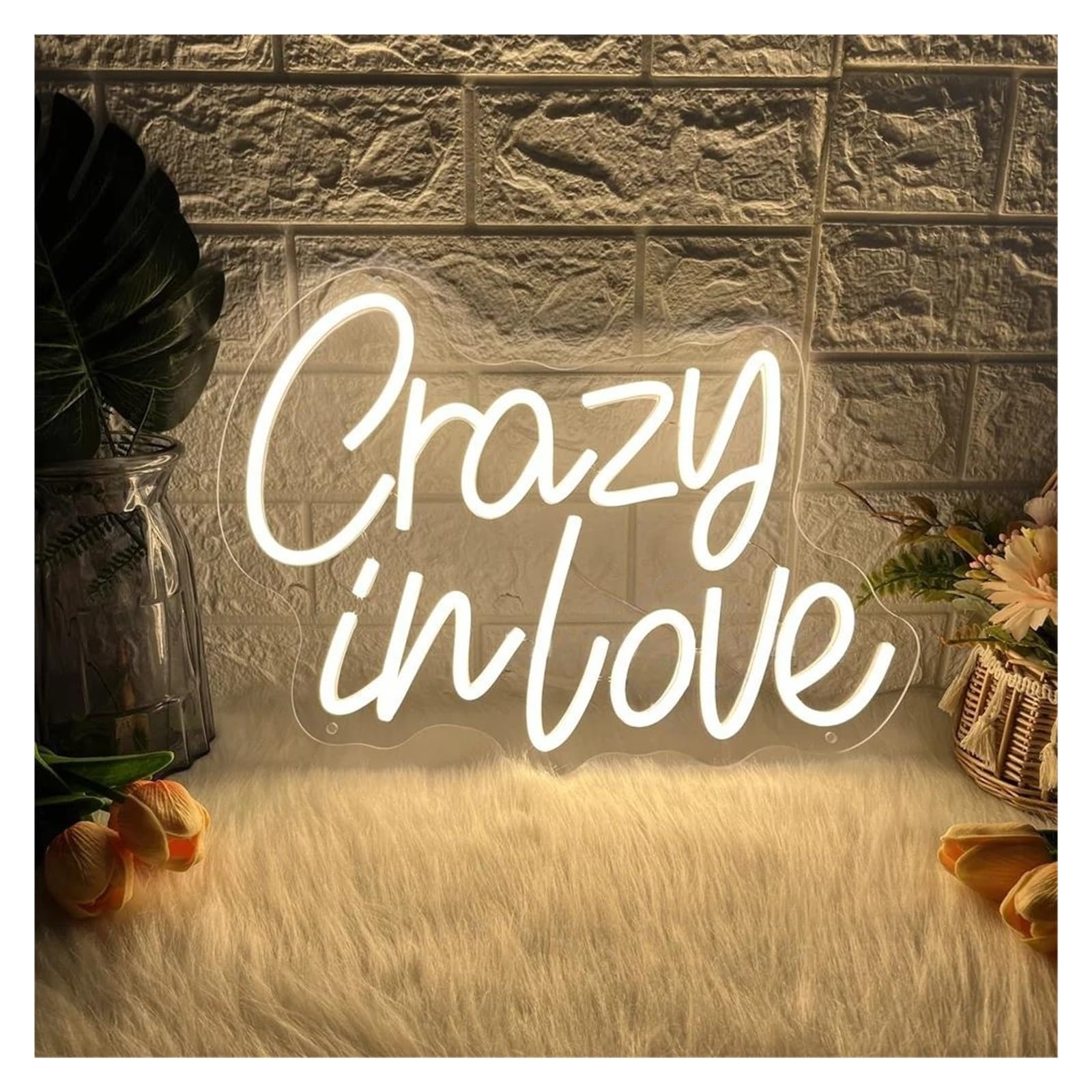 Sign Lamp Crazy in Love Neon Sign Dimmable for Wedding Bedroom Decoration Romantic Atmosphere Light USB Powered 40cm