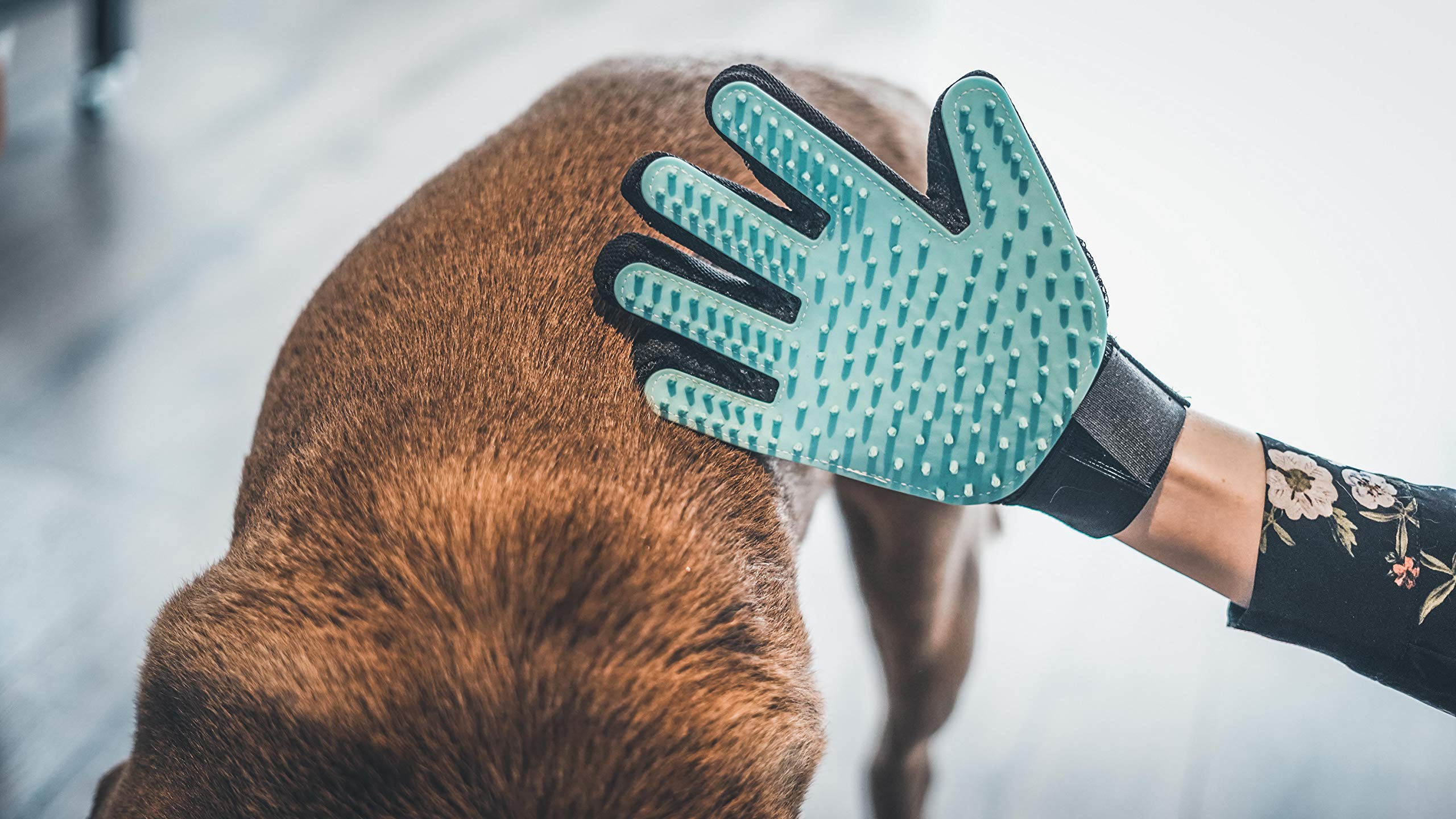 Guanto Toelettatura Cani E Gatti 4 In 1 - Spazzola, Massaggia, Lava E Rimuove Peli Morti - Foto 3