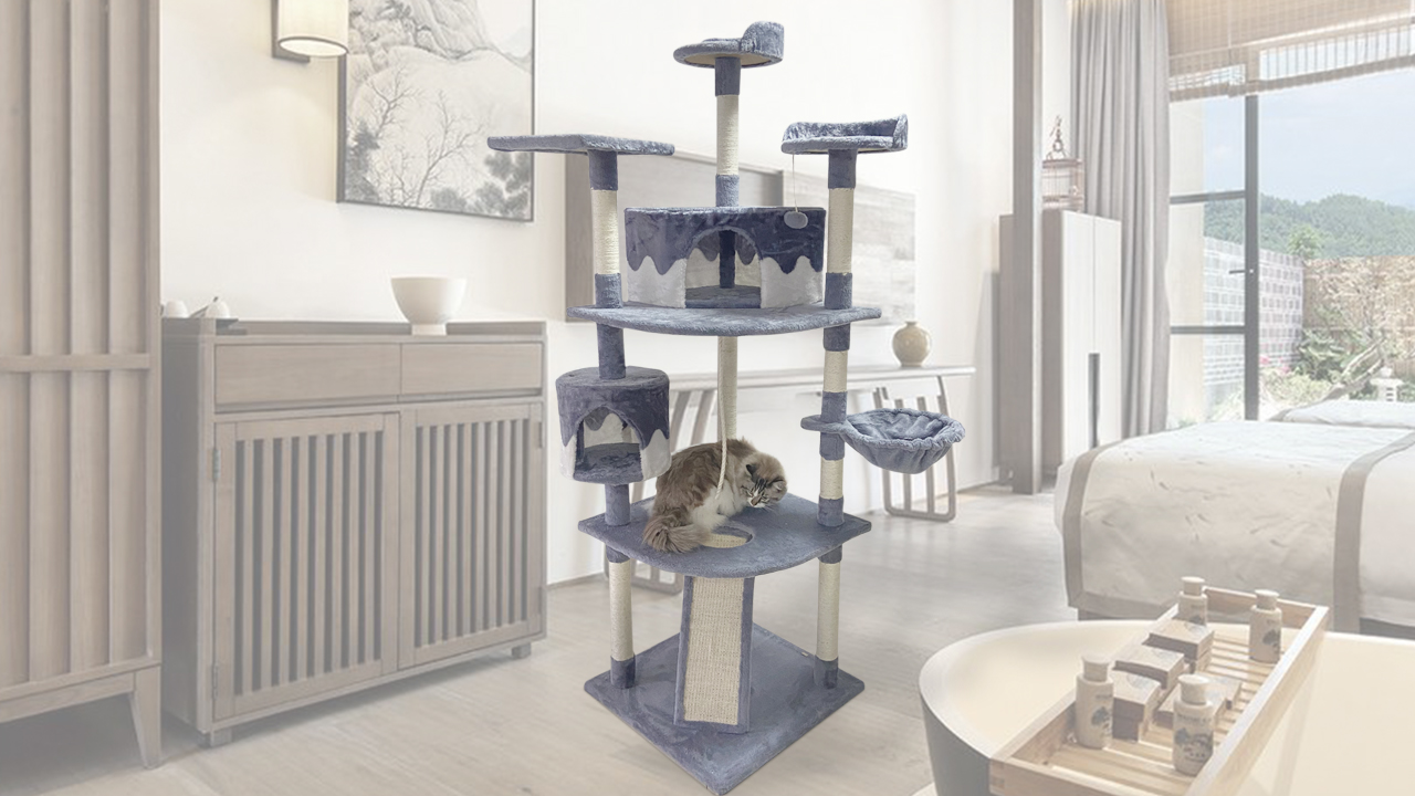Watch How to assemble a cat tree on Amazon Live