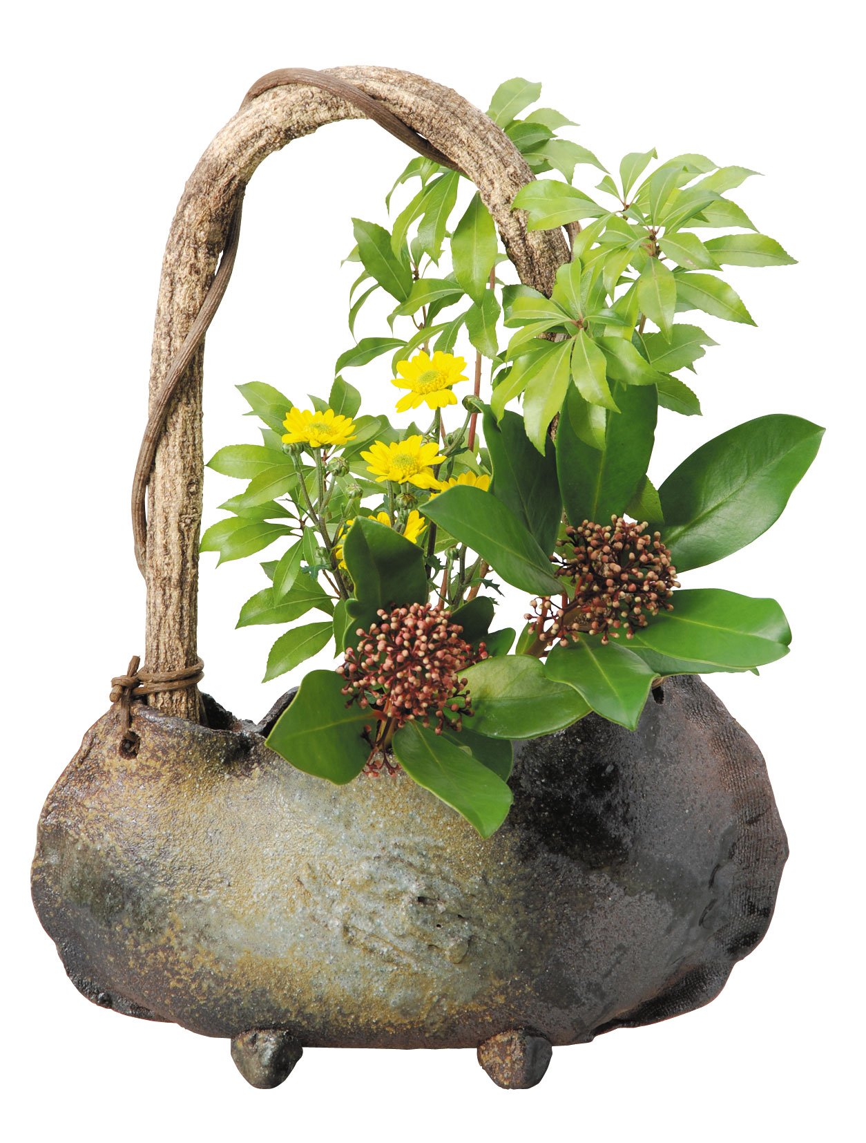 Amazon.co.jp: 信楽焼 花器 窯変つる付花入 幅28.5x奥11x高さ16.5cm