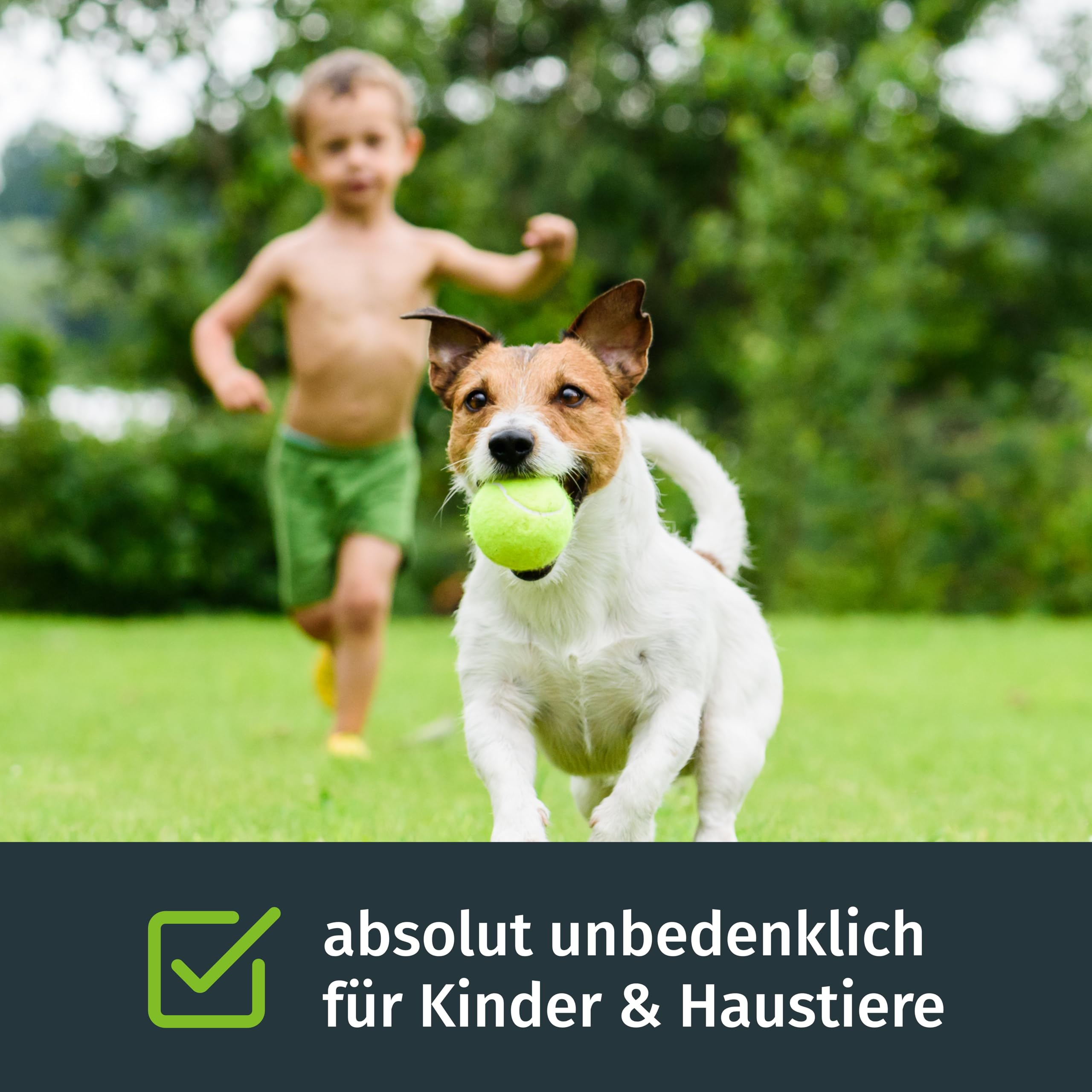 Trockenrasen, Rasensamen, 5kg für 165m², Trockenrasen Samen, Grassamen, Ideal zur Neuanlage, Für sonnig Standorte, Rasensaat, Nachsaat, RSM Qualität, Turbogrün