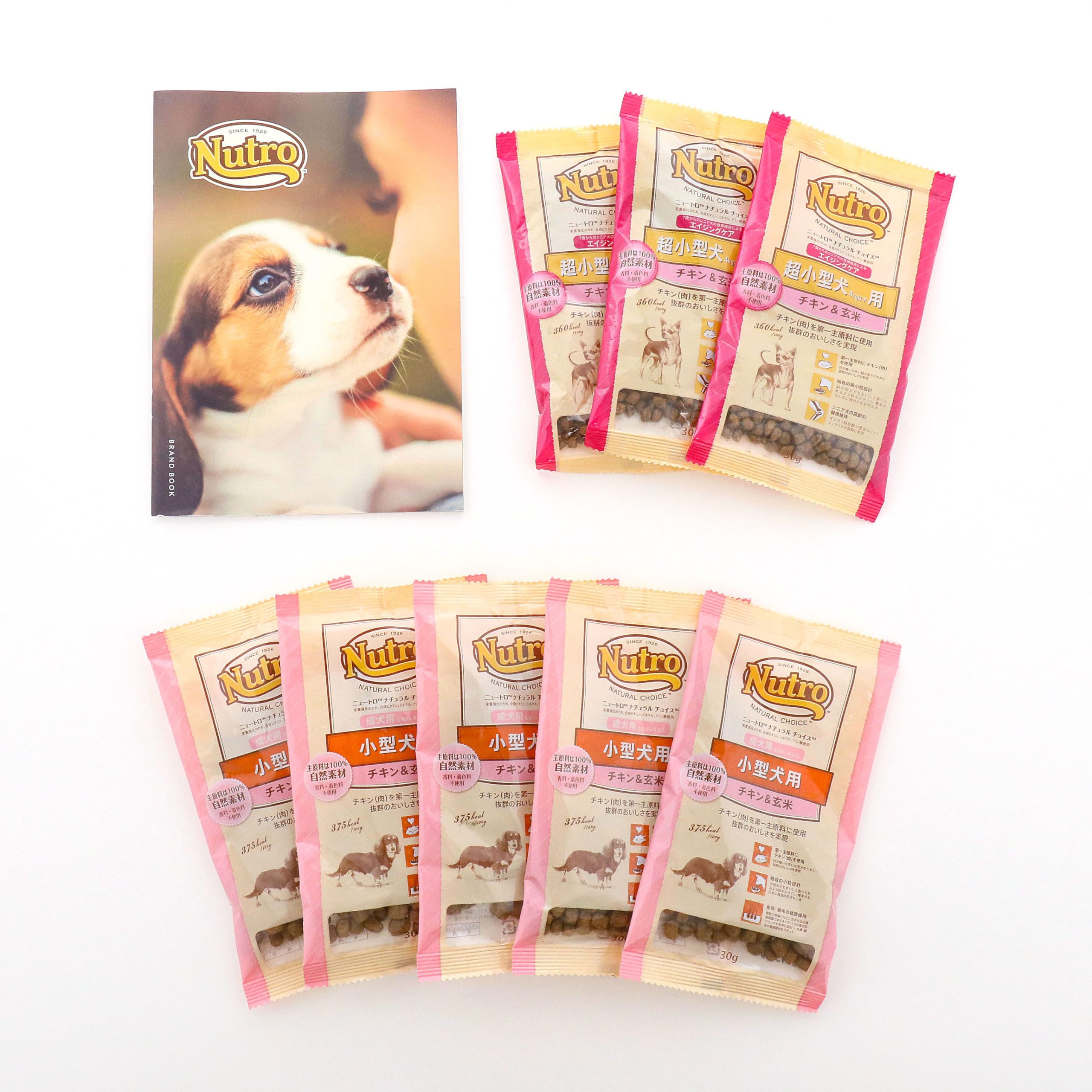 Amazon.co.jp: ペットプロフィール Welcome Box ワンちゃん用 : ペット用品