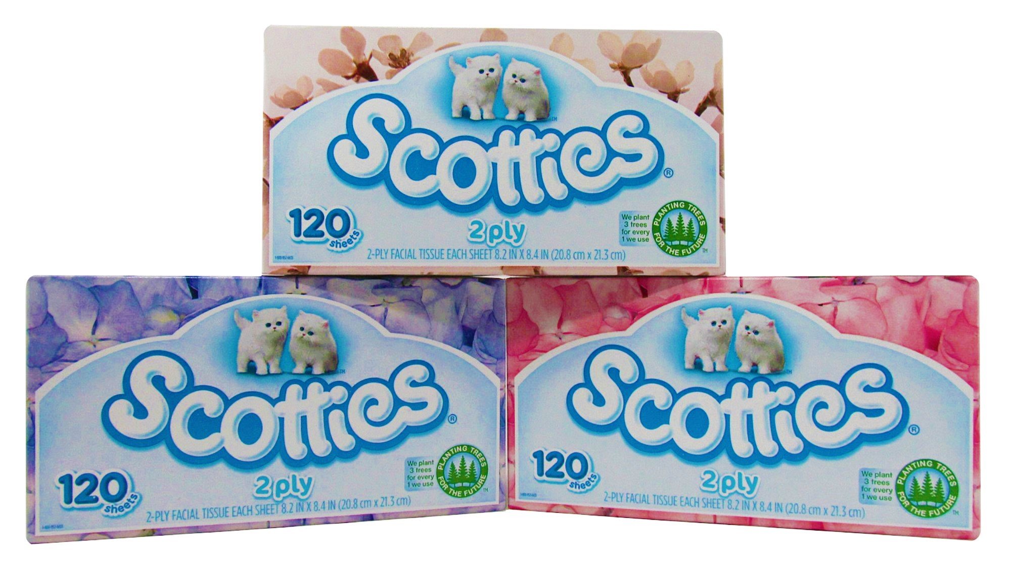 Scotties ~ Kitten Soft ~ 2-Ply Facial Tissues 120ct ~ 3 Pack ~ 360 Tissues ~ (Colors May Vary)