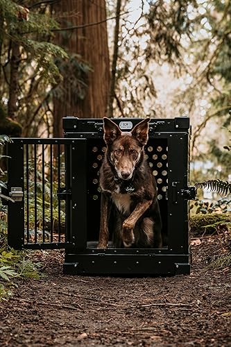 Miniatura 2 de Jaula para perros de aluminio con recubrimiento en polvo totalmente plegable y resistente, mediana (negro)