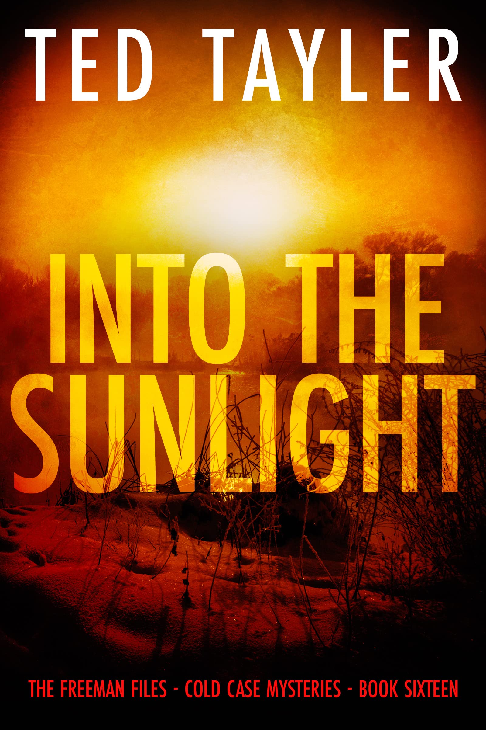 Into The Sunlight: (The Freeman Files Series - Book 16)