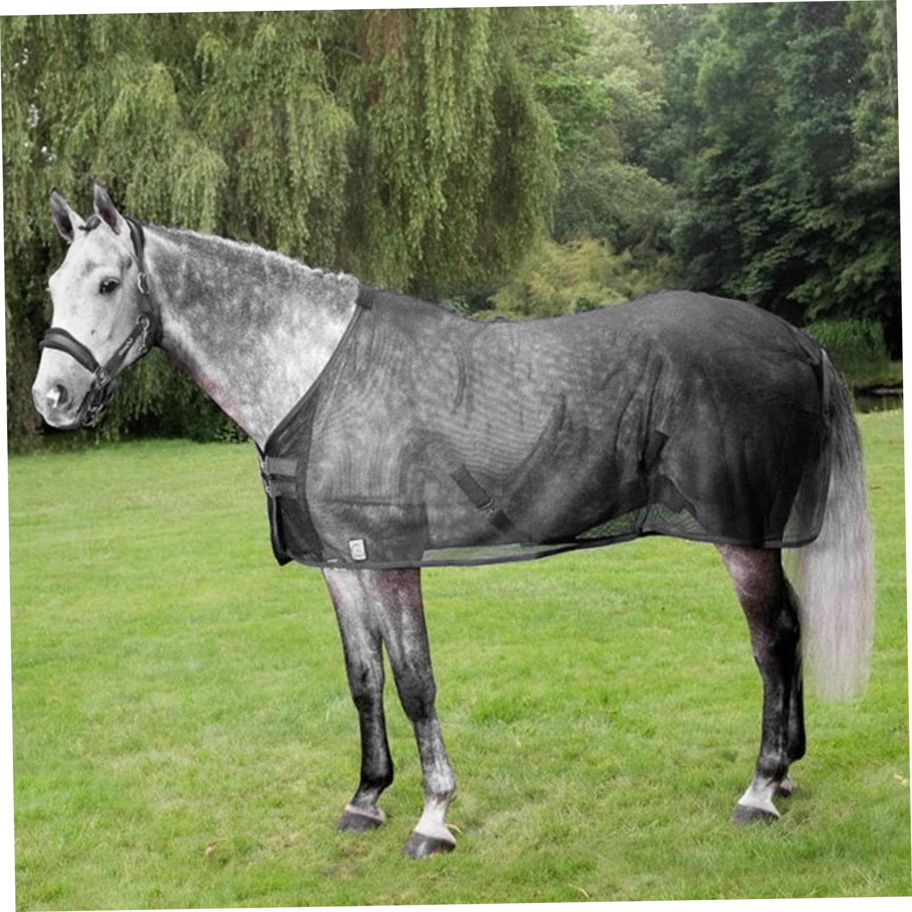 Mantas para caballos para caballos reales Hojas de moscas de caballos, sábanas de mosca ajustable para caballos, protección UV ＆ Mantas de malla de malla transpirable para caballos reales, sábana c