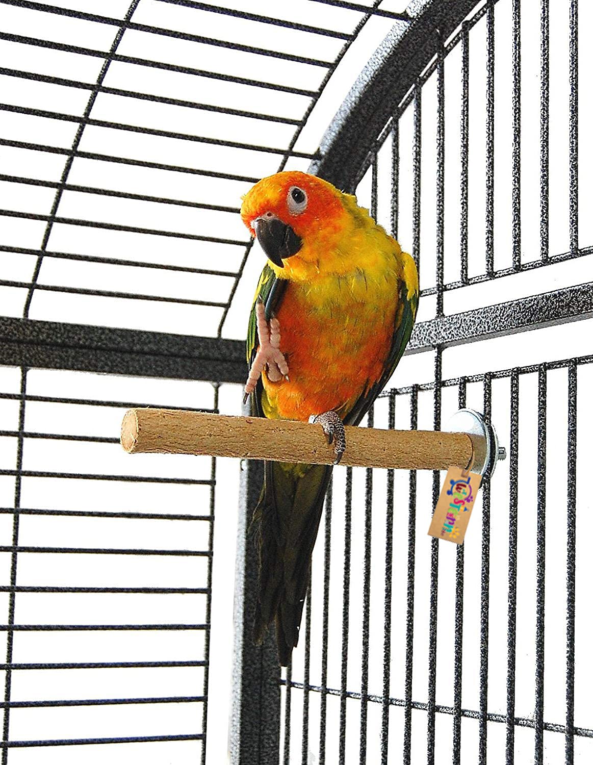 See full amazon price history chart for Western Era Perch/Stand Bird Toy (Medium Birds) (8 Inches) Western Era Perch/Stand Bird Toy (Medium Birds) (8 Inches) (B081RF15BM) Amazon Price History, Amazon Price Tracker