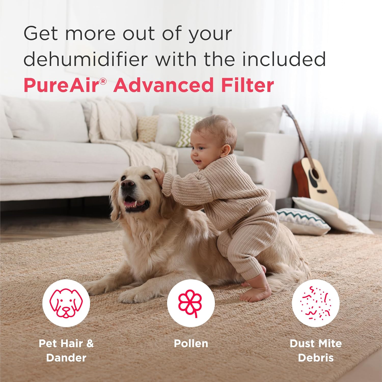 PureAir Advanced Filter benefits showing removal of pet hair, pollen, and dust mite debris