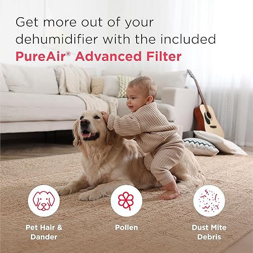Miniatura 9 de Frigidaire Gallery - Deshumidificador portátil 2 en 1 de 50 pintas con Wi-Fi, certificación Energy Star y monitoreo de calidad del aire para