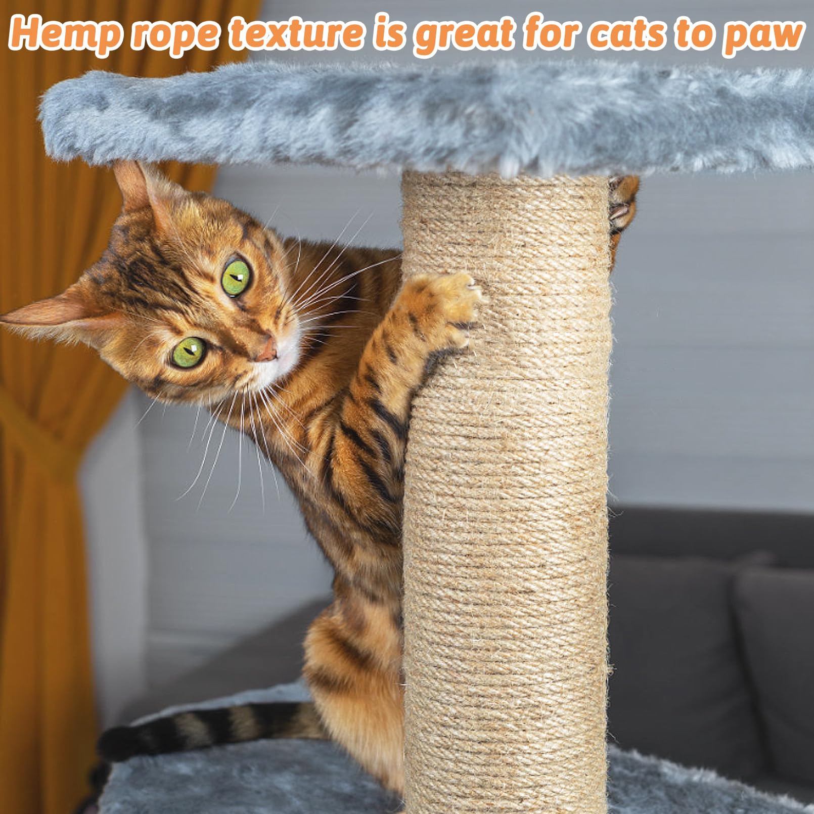 https://m.media-amazon.com/images/I/81KCGfqcW9L.jpg