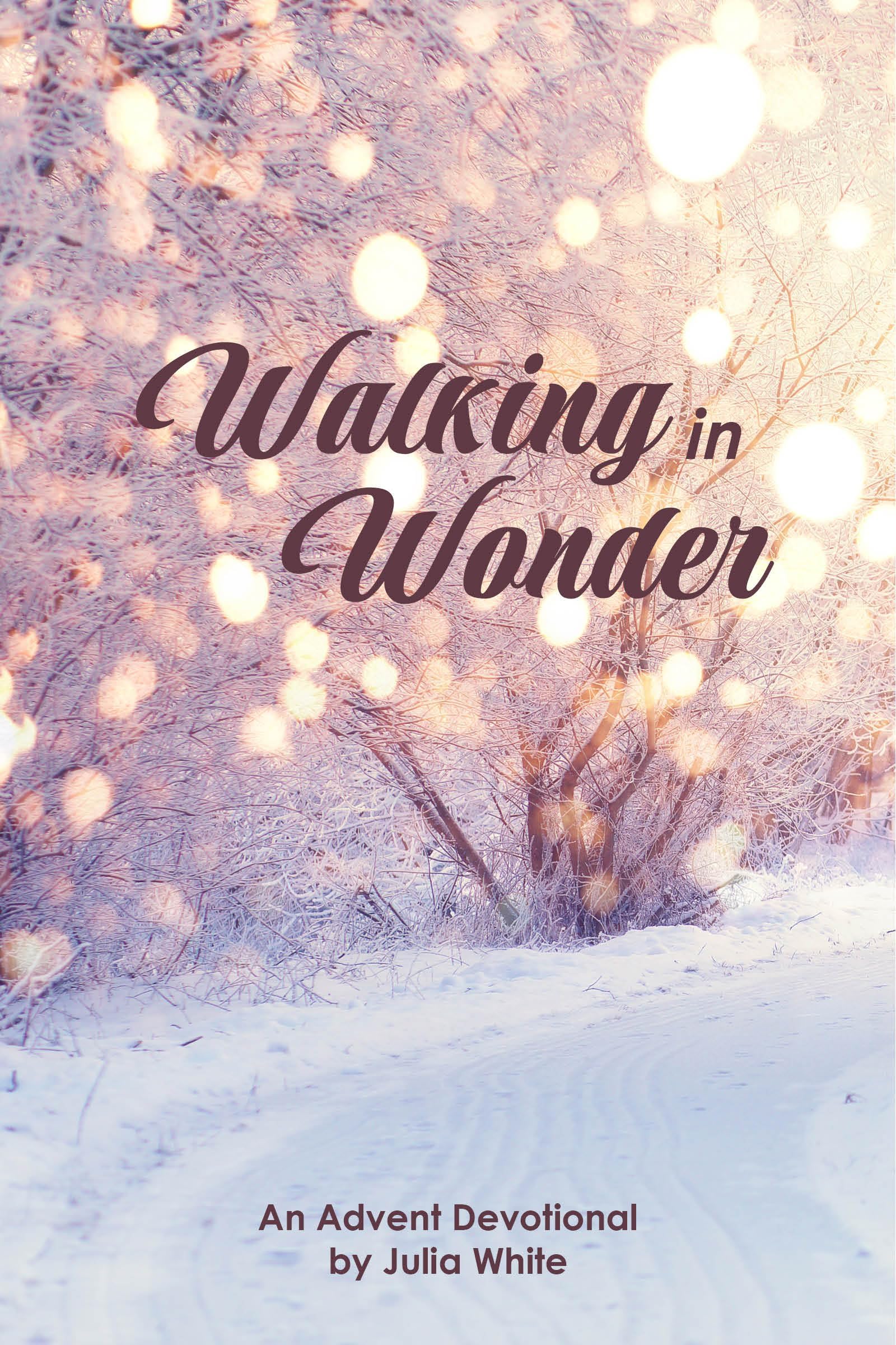 Walking in Wonder: An Advent Devotional (Advent Devotionals)