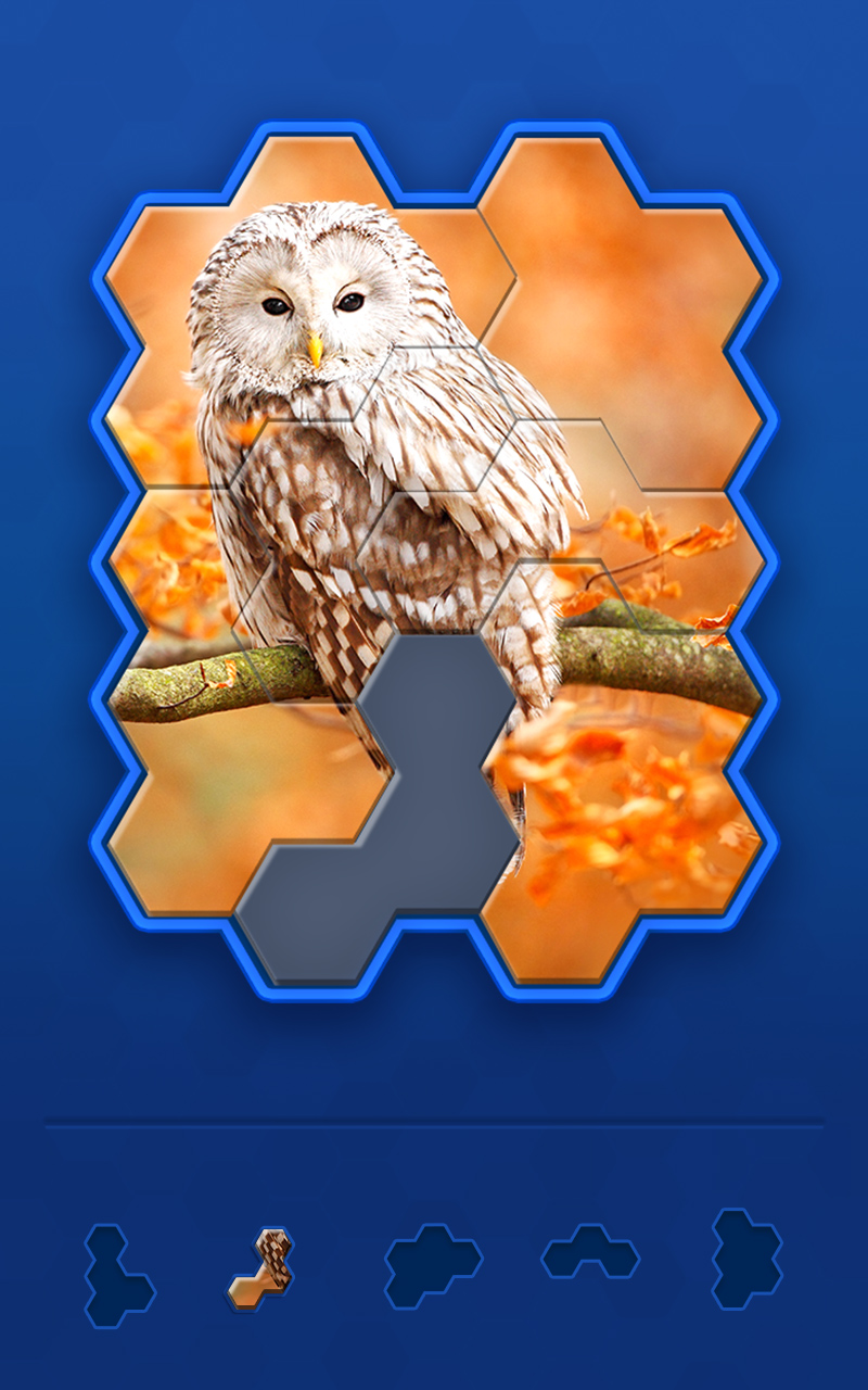 Hexa Jigsaw Challenge App on Amazon Appstore