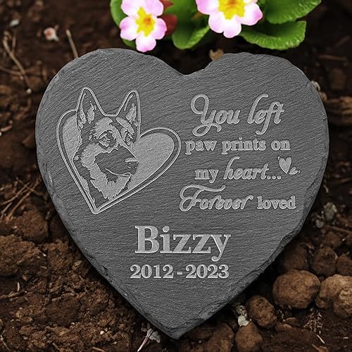 Vista 7 de Estatua de bulldog continental, piedra conmemorativa del bulldog continental, placa conmemorativa del bulldog continental, recuerdo personalizado