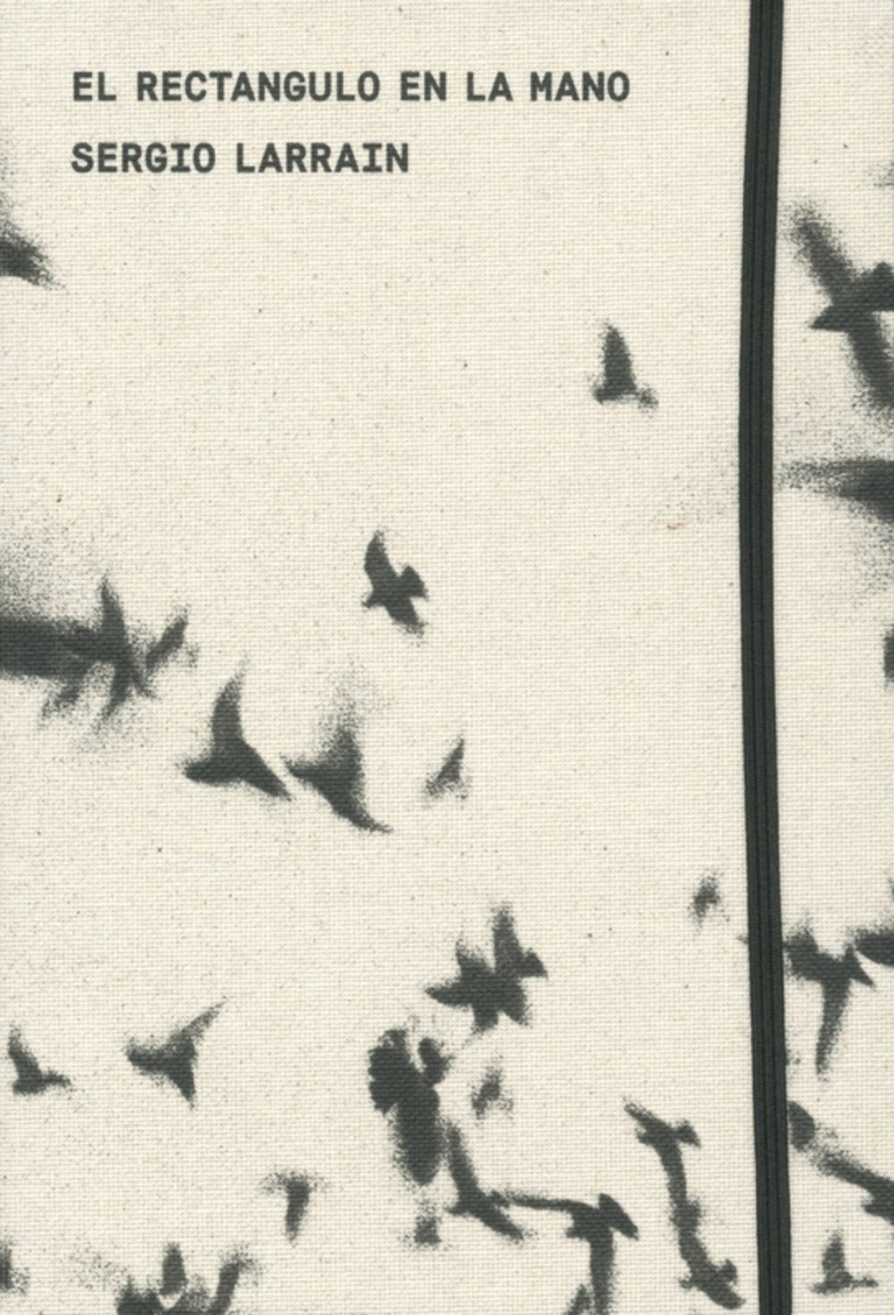 Sergio Larrain - El Rectangulo en la mano