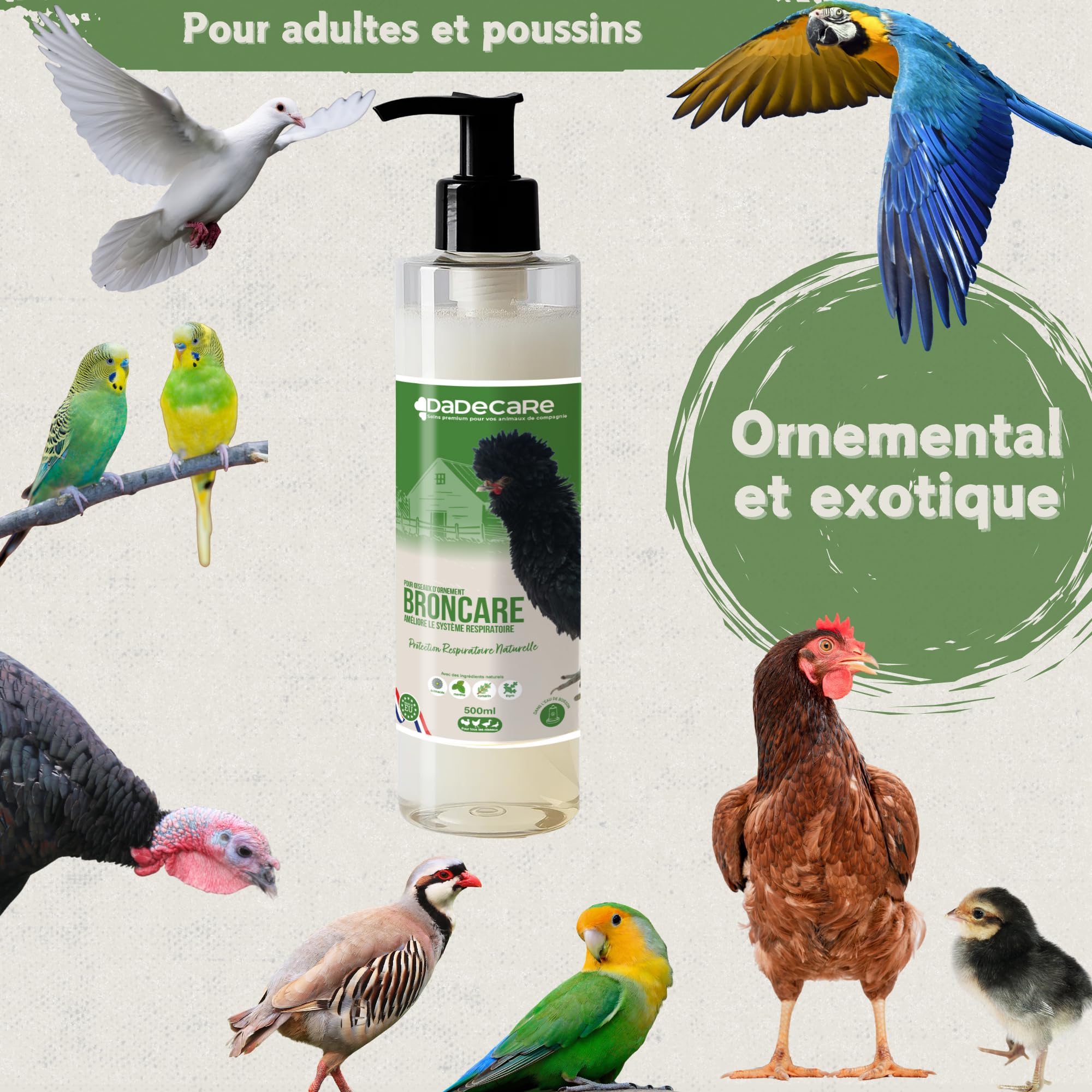 Broncare Respiratoire 500 ml avec ADEC - Poules, volailles de volaille et exotiques - Huiles essentielles, renforcement immunitaire et respiratoire - échinacée, menthe, thym et romarin
