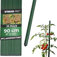 STREND PRO Plant Stakes 90 cm – Set of 25 | Diameter 11 mm Steel + Plastic | Green Trellis for Flowers, Herbs, Plants, Seedlings | Small Plant Support | Metals Trellis | Support Rods | Plant Support