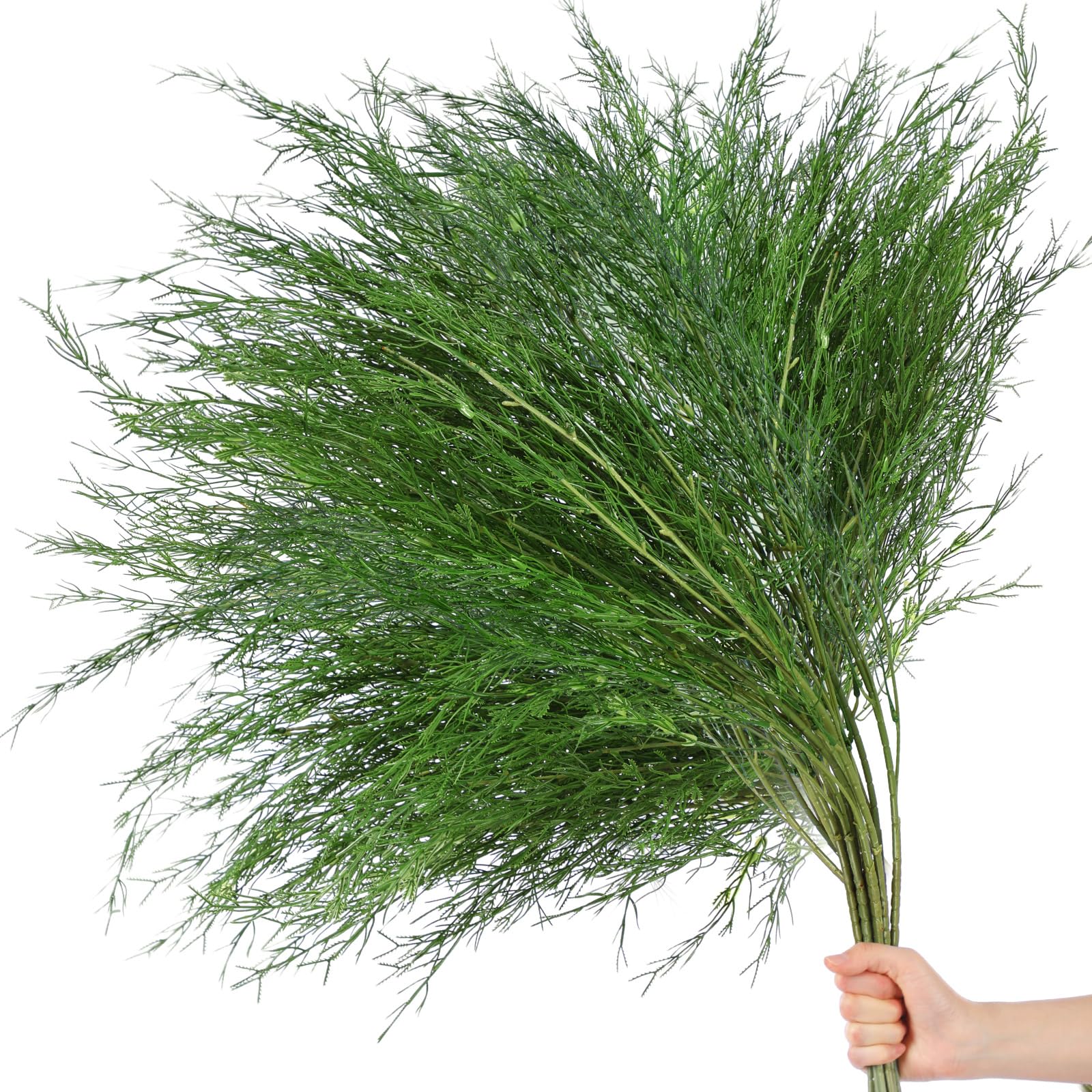 Photo 1 of Suncalla 12 Pcs Artificial Asparagus Fern 24 Inch Faux Fern Garland for Wedding Arch Green Simulated Hanging Plants DIY Bouquet Wall Hanging Decor Floral Arrangement Garden Photo Props Party Supplies